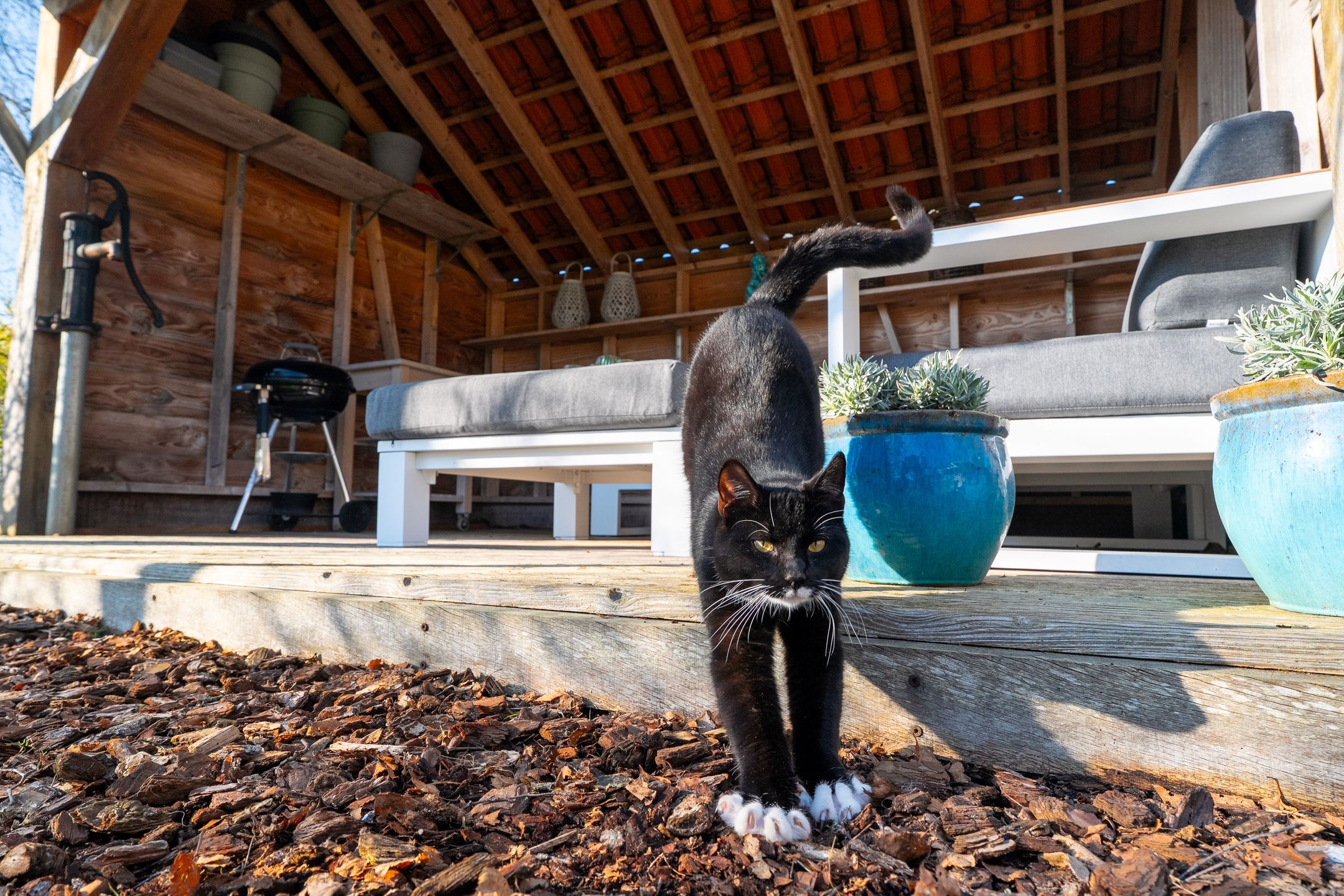 Photo 63 of Natuurschoonweg 31