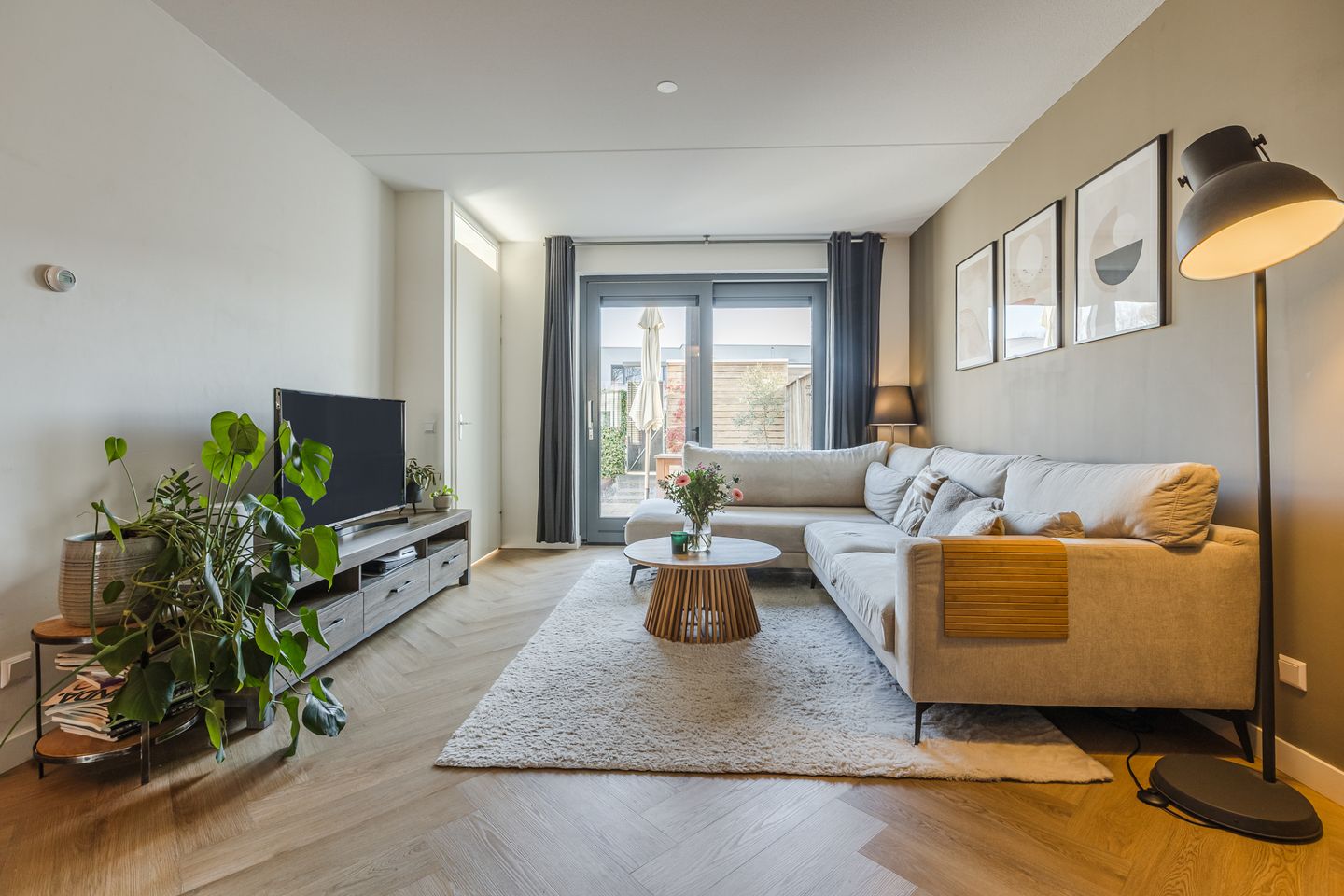 Foto 5 van Kamsalamander 7