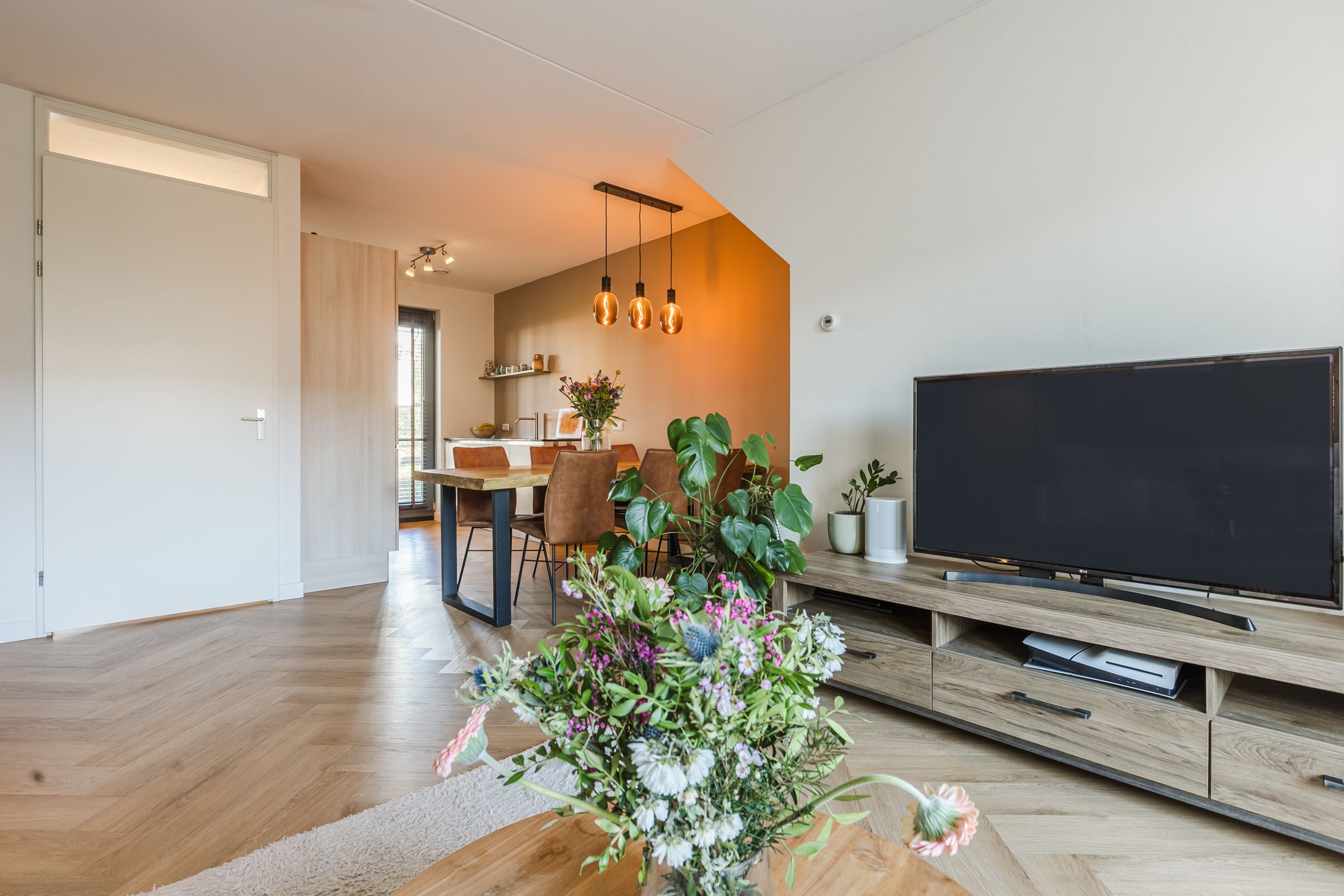 Foto 6 van Kamsalamander 7