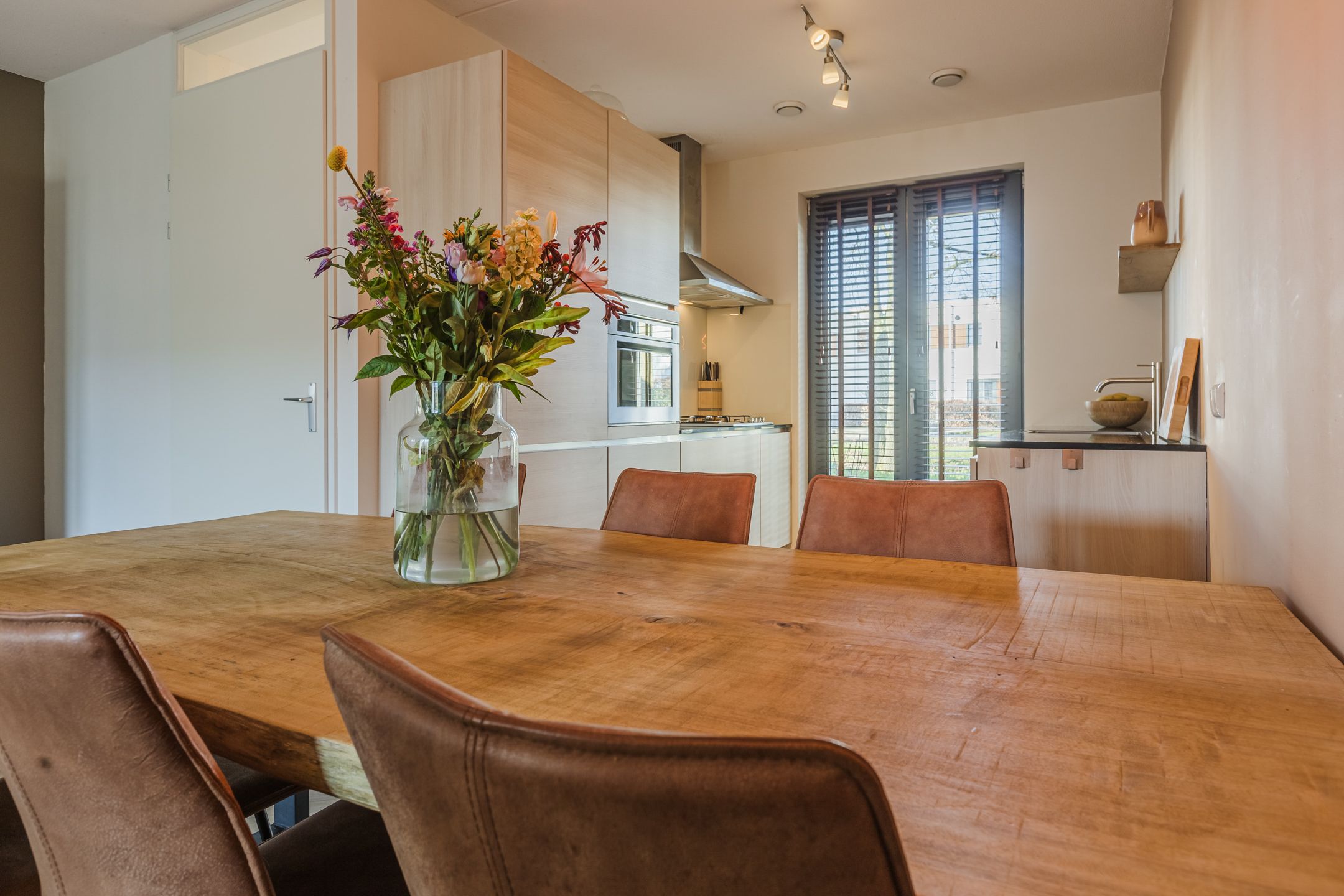 Foto 9 van Kamsalamander 7