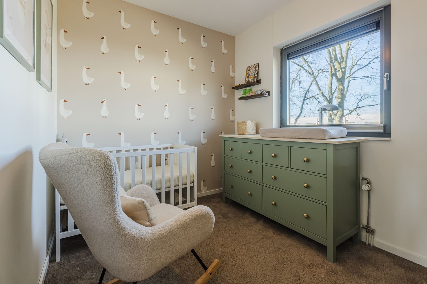 Foto 14 van Kamsalamander 7