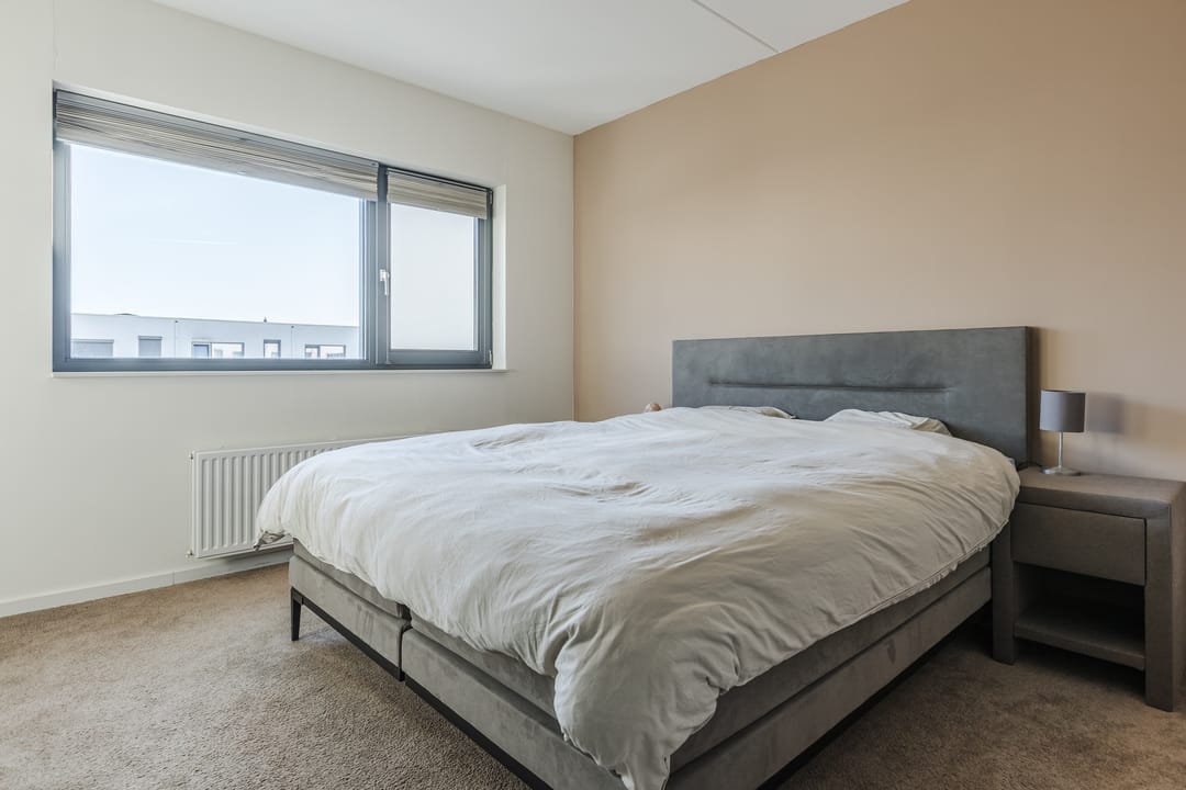 Foto 17 van Kamsalamander 7