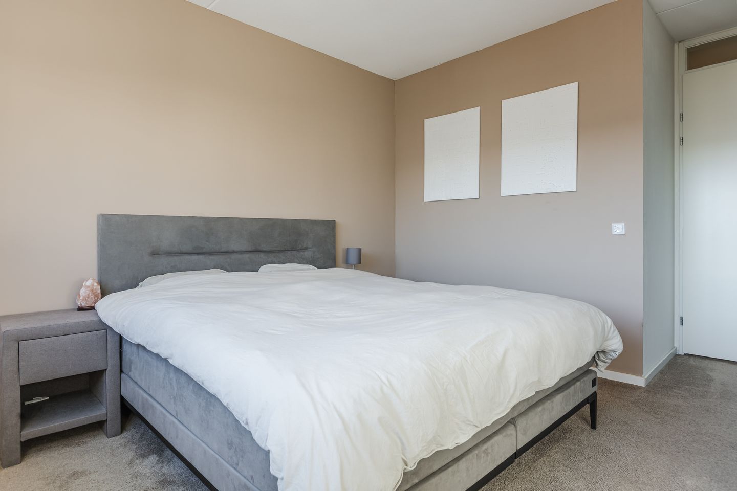 Foto 19 van Kamsalamander 7