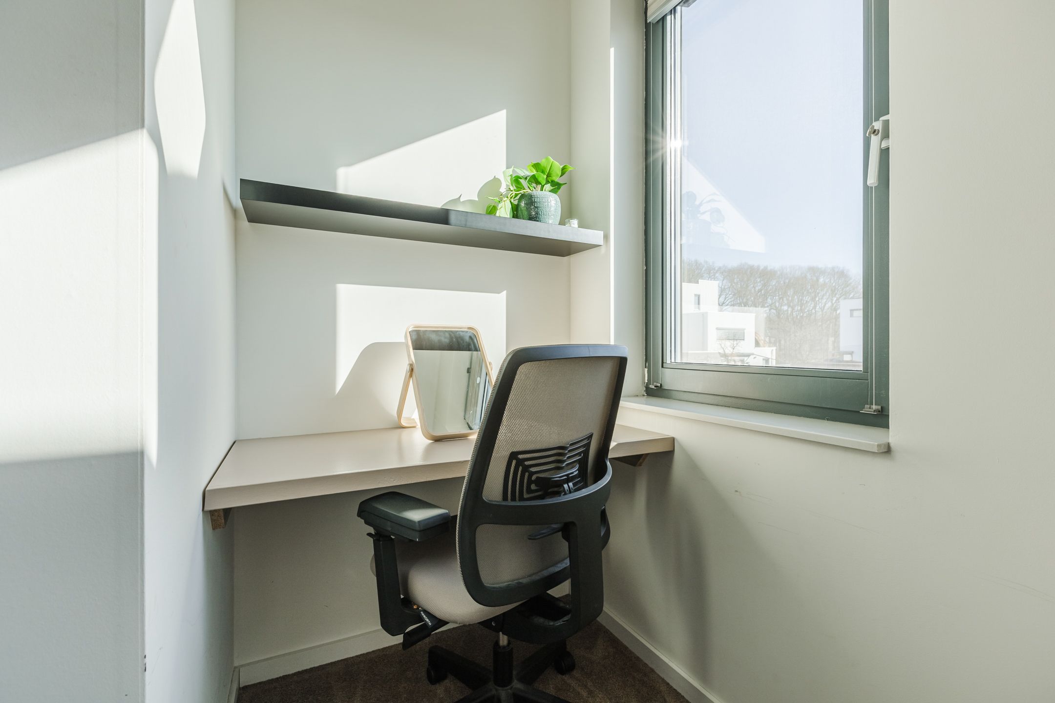 Foto 21 van Kamsalamander 7