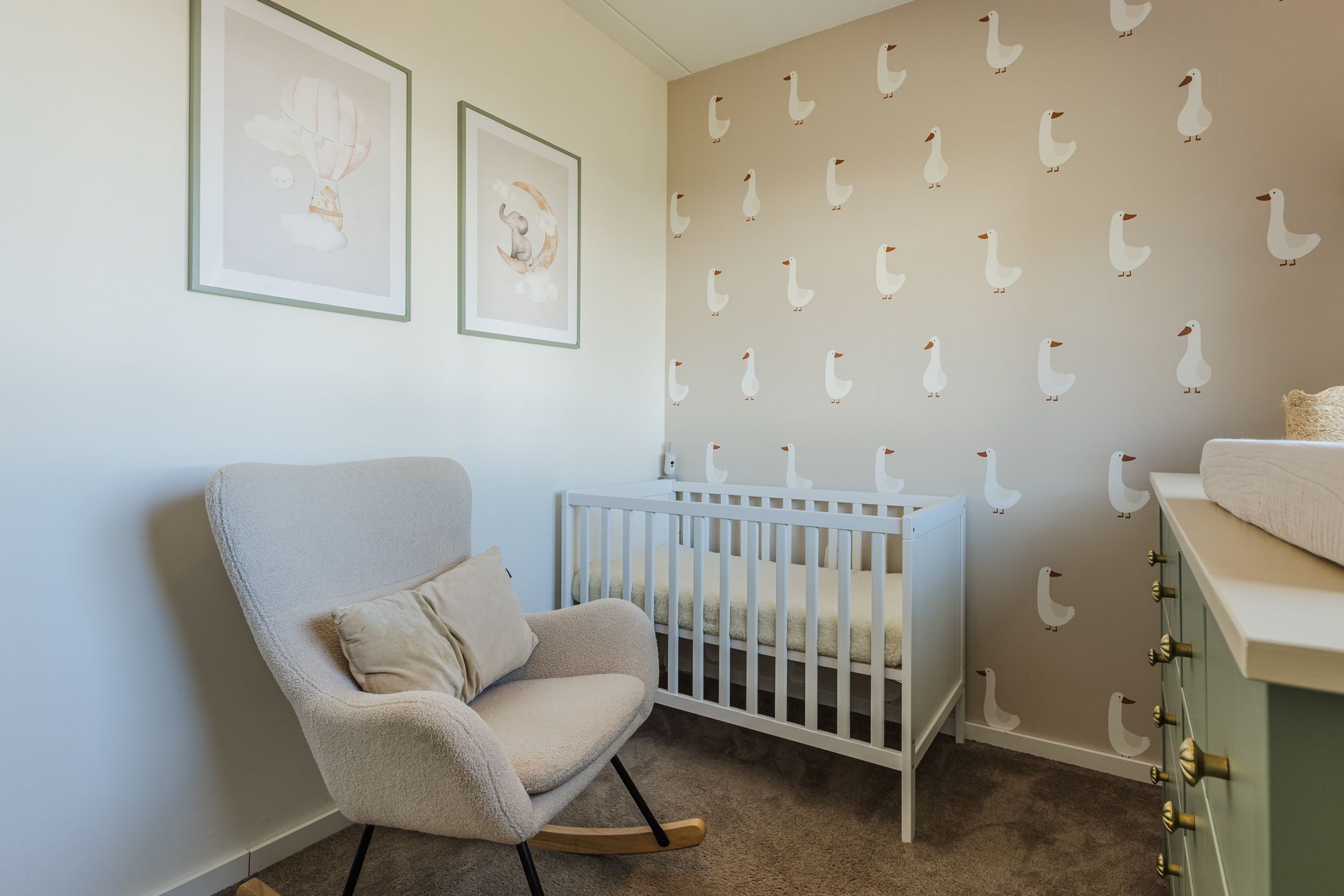 Foto 15 van Kamsalamander 7