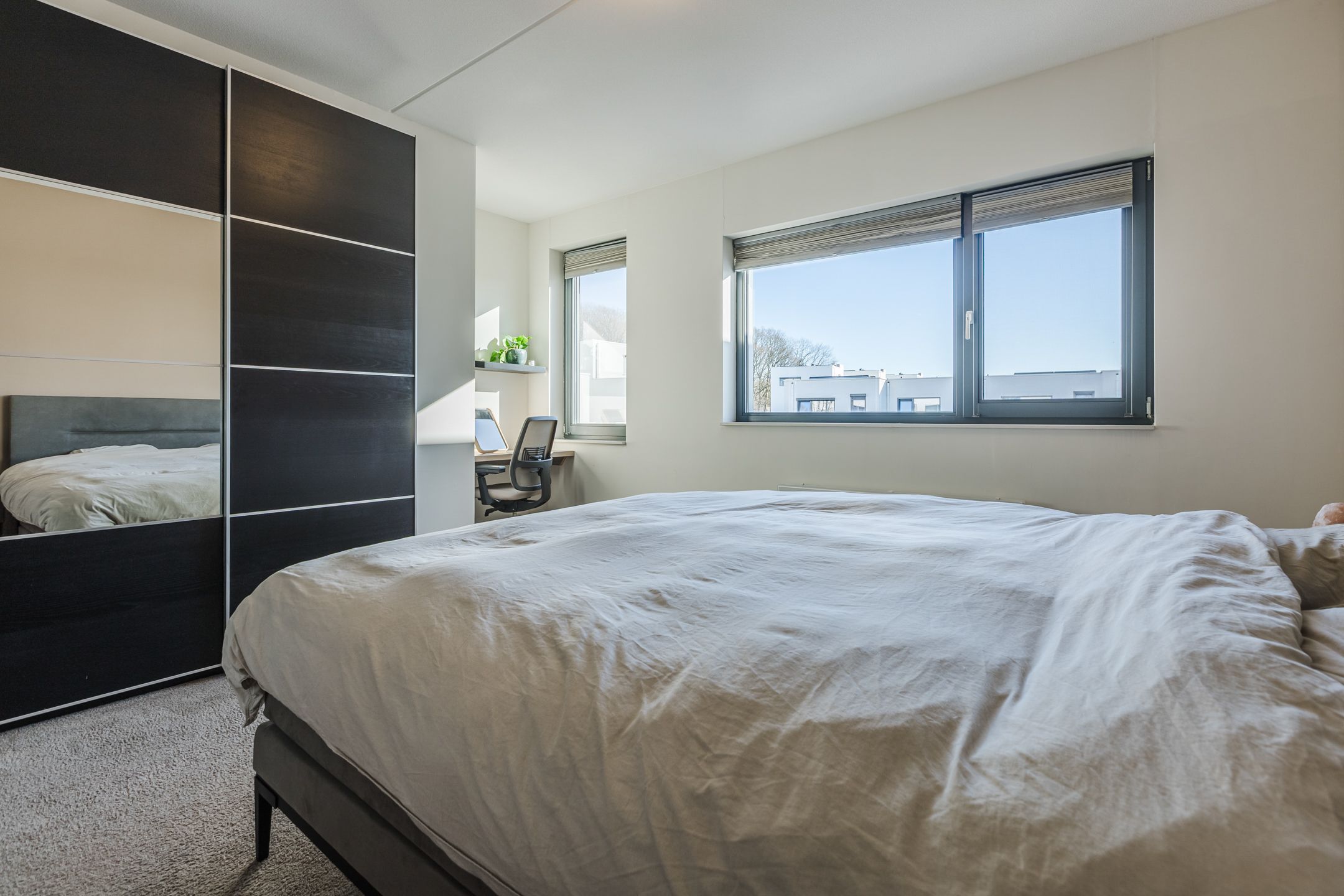 Foto 18 van Kamsalamander 7