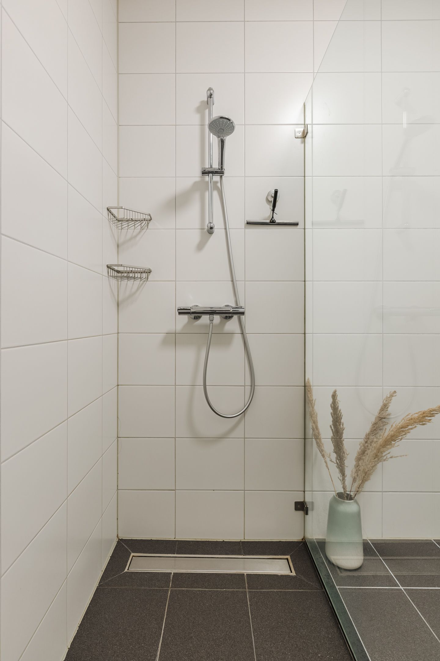 Foto 25 van Kamsalamander 7