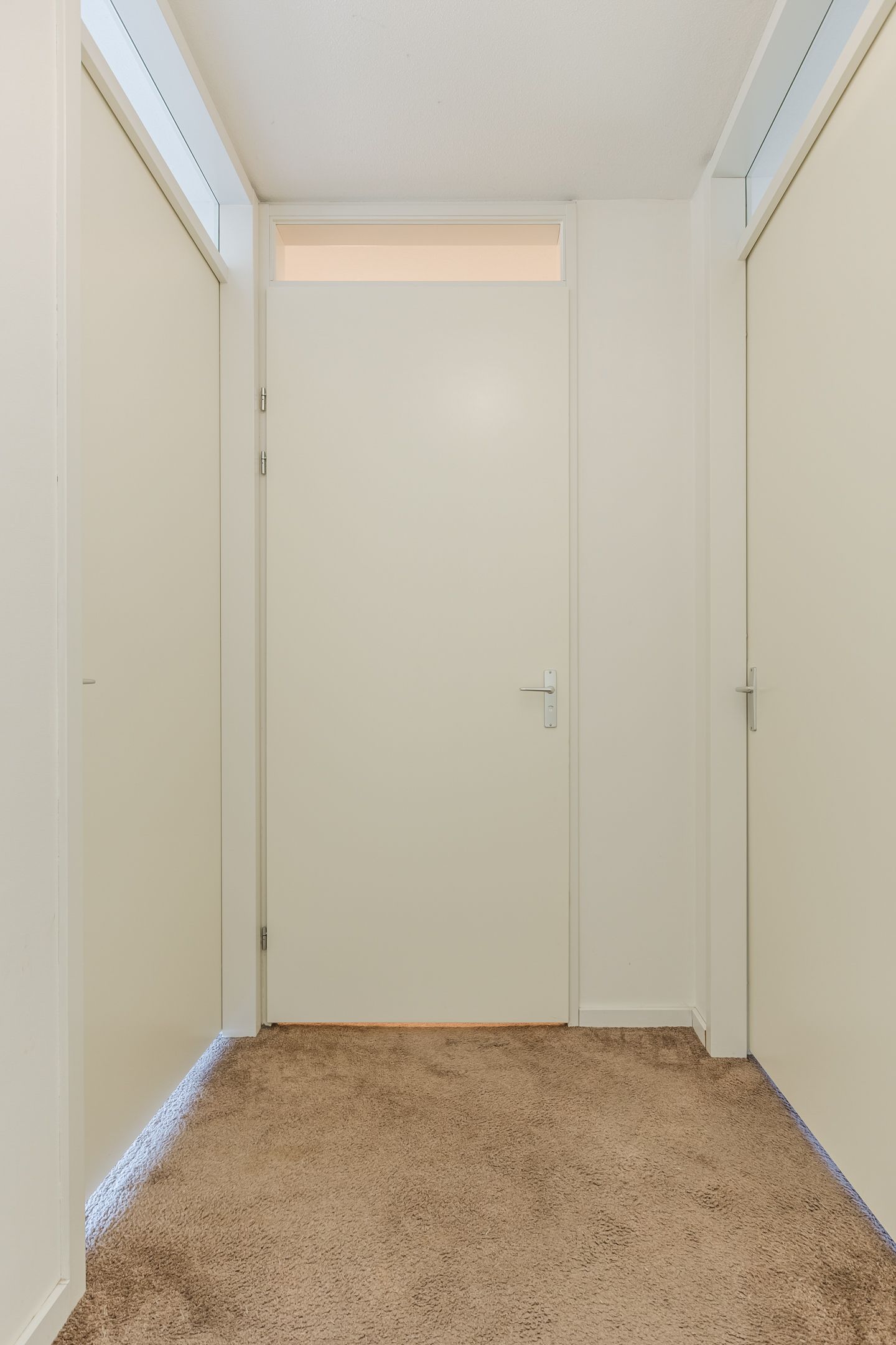 Foto 27 van Kamsalamander 7