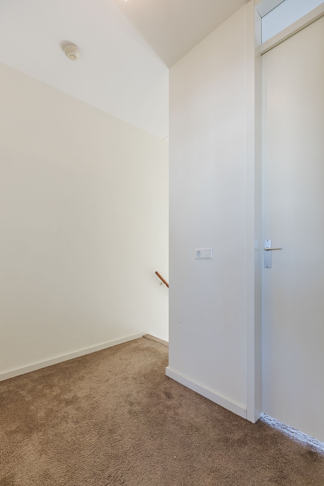 Foto 28 van Kamsalamander 7