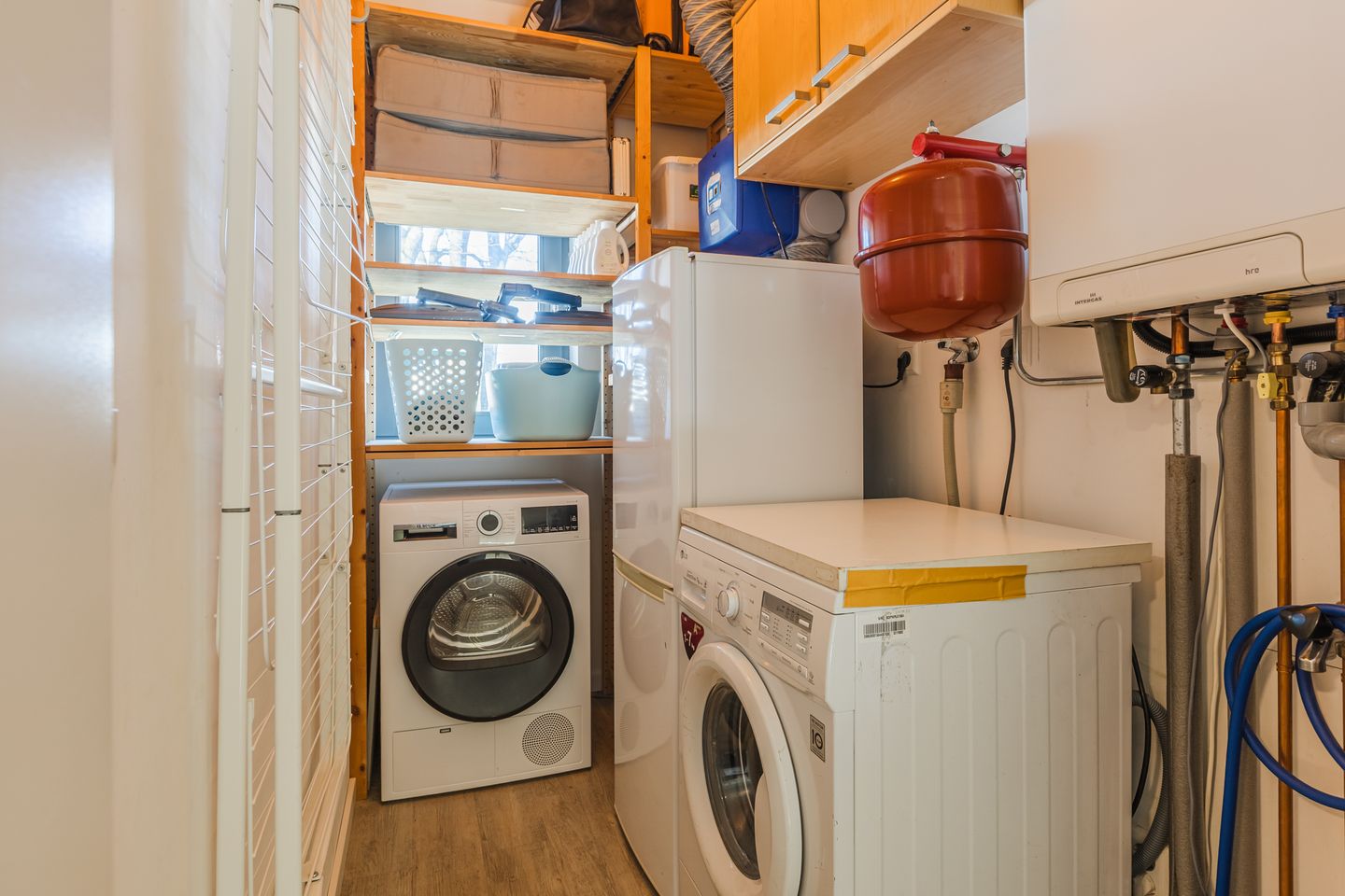 Foto 29 van Kamsalamander 7