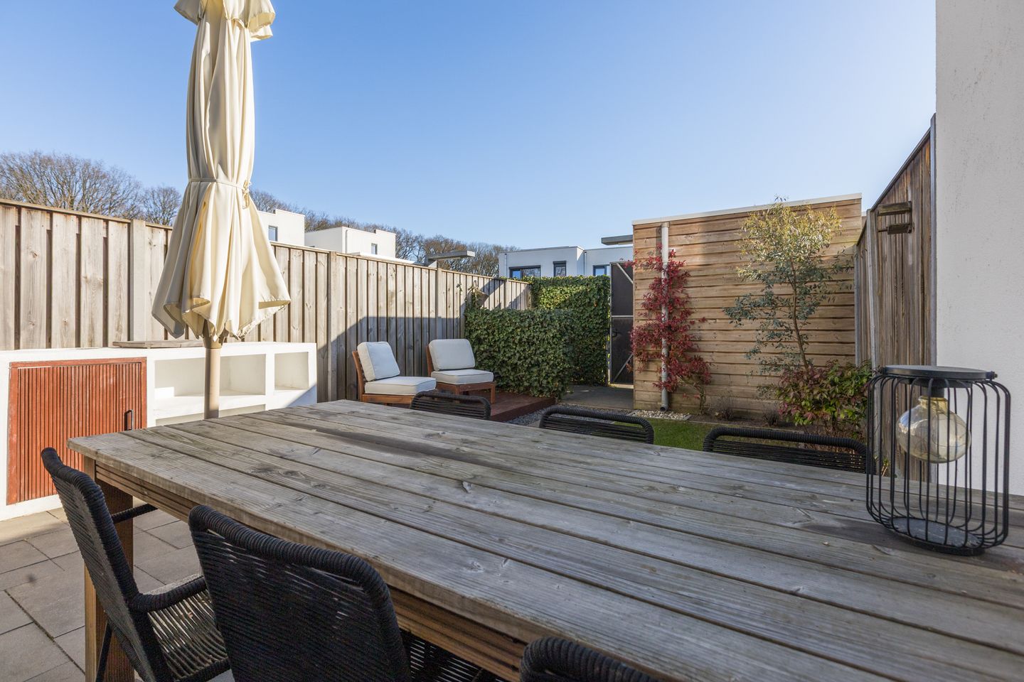 Foto 34 van Kamsalamander 7