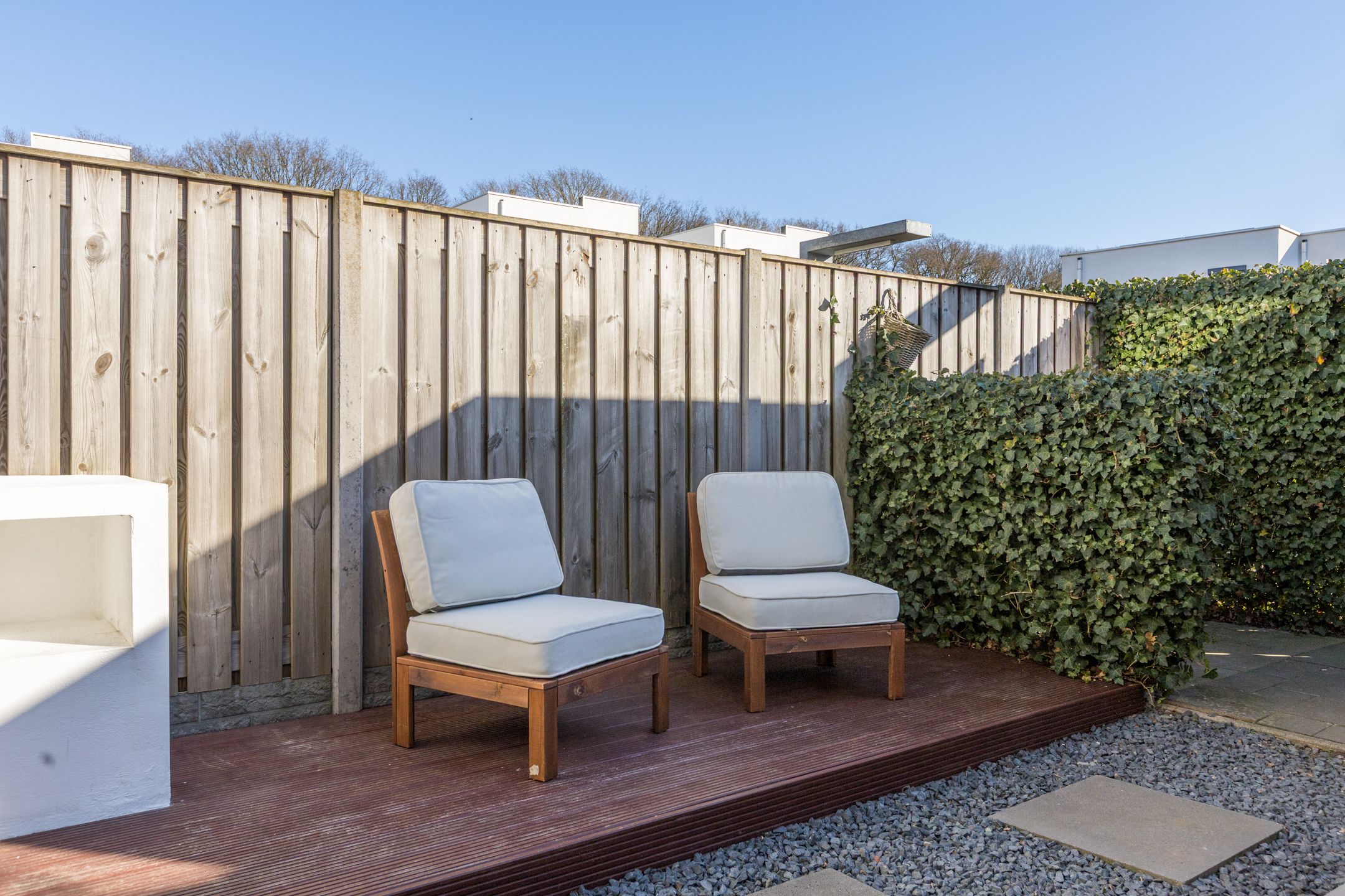 Foto 36 van Kamsalamander 7