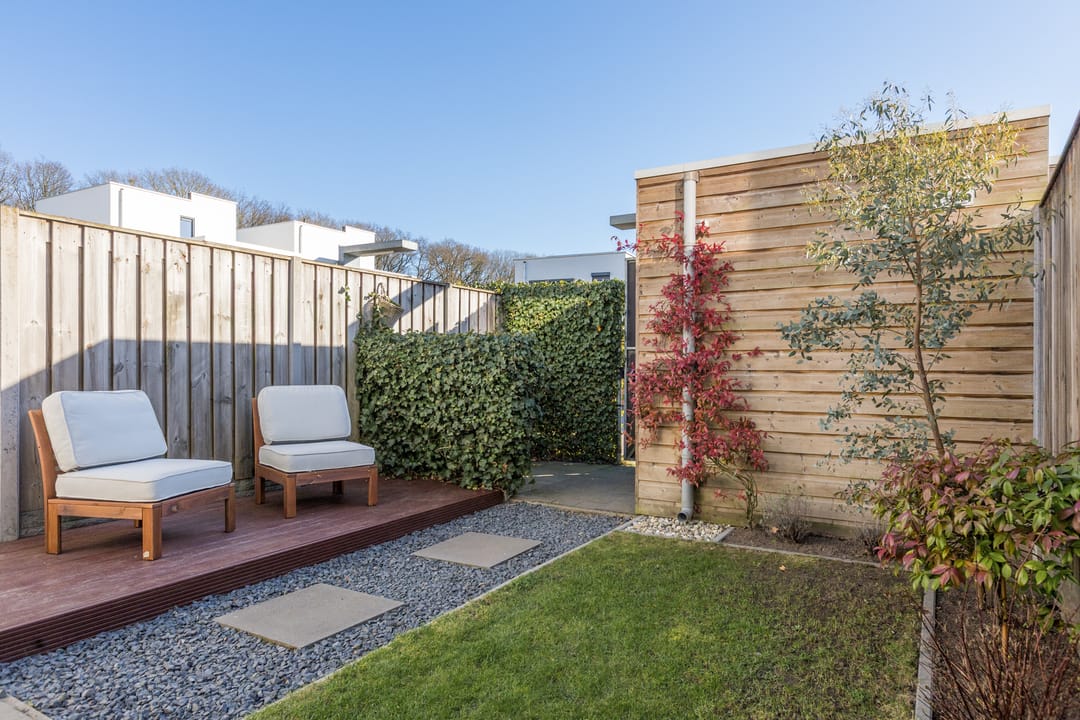 Foto 37 van Kamsalamander 7