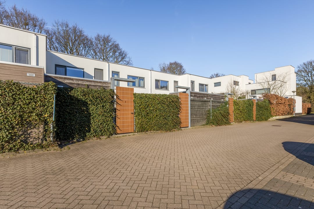 Foto 38 van Kamsalamander 7