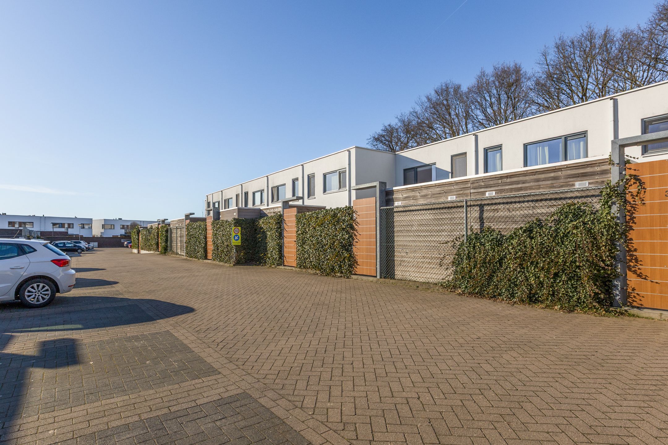 Foto 39 van Kamsalamander 7