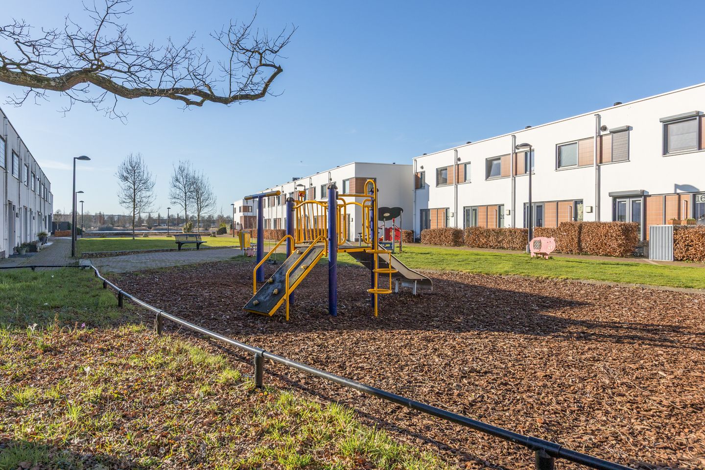 Foto 40 van Kamsalamander 7