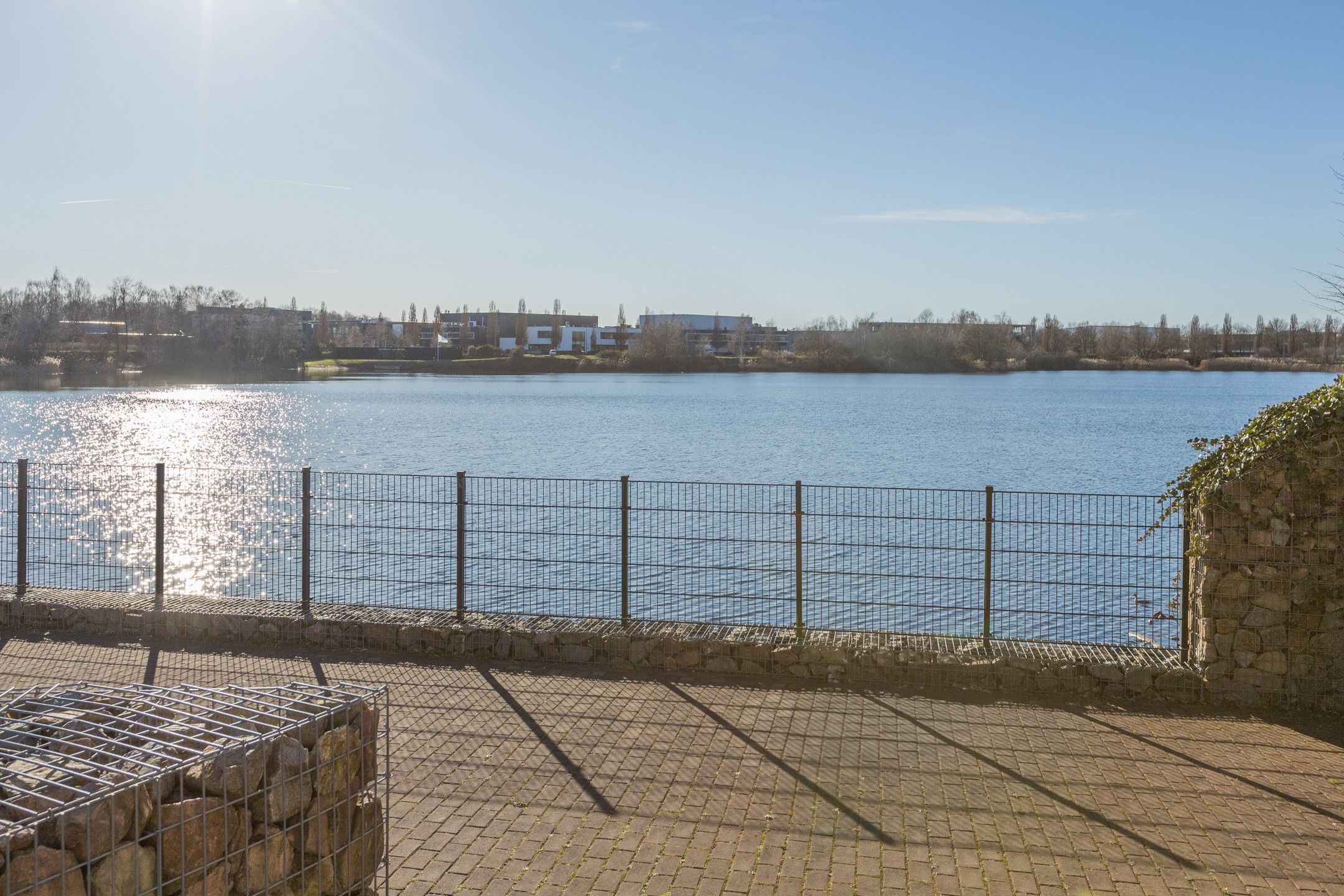 Foto 42 van Kamsalamander 7