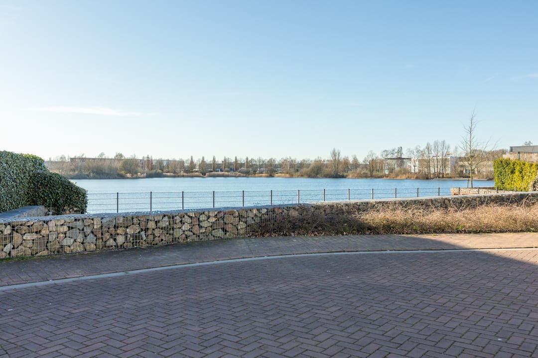 Foto 43 van Kamsalamander 7