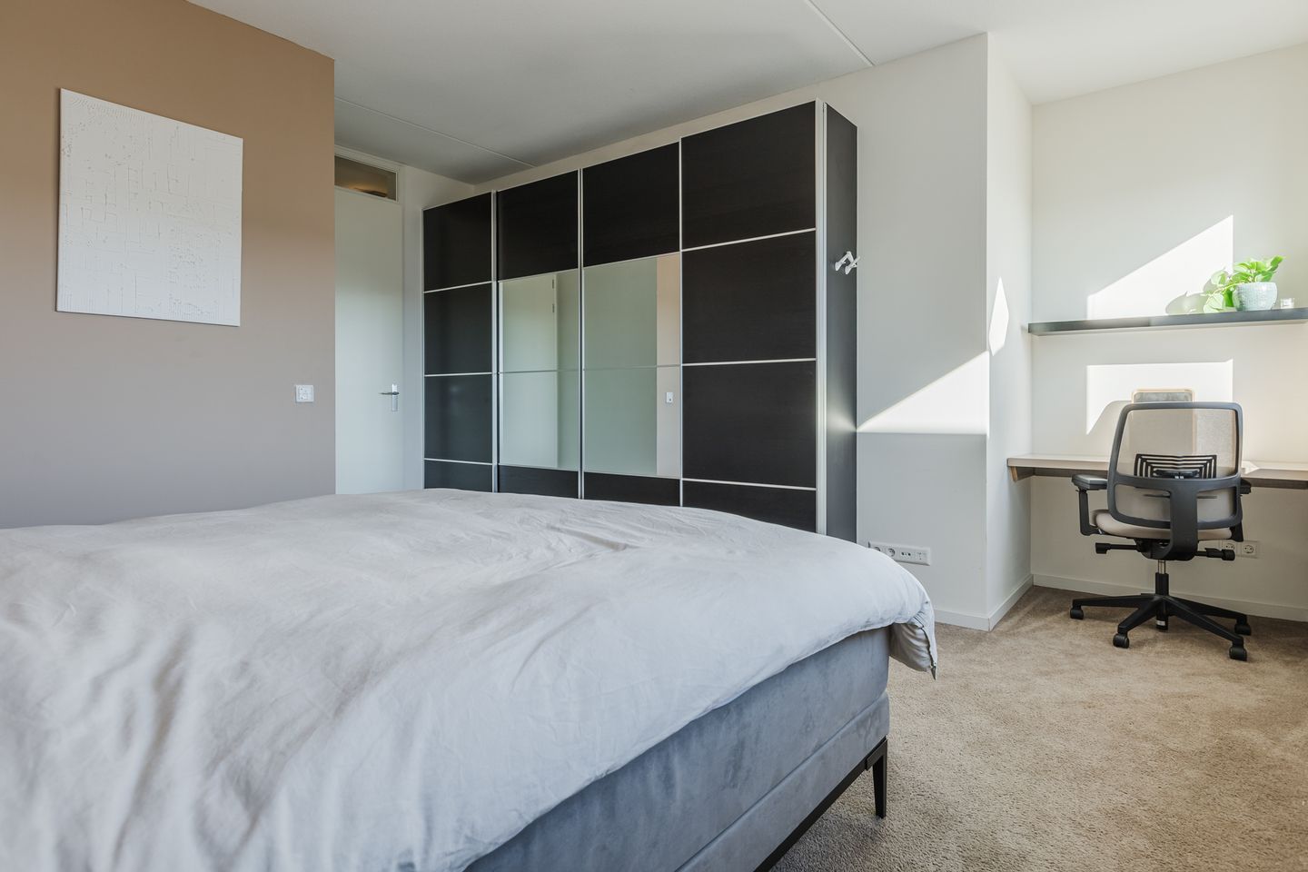 Foto 20 van Kamsalamander 7