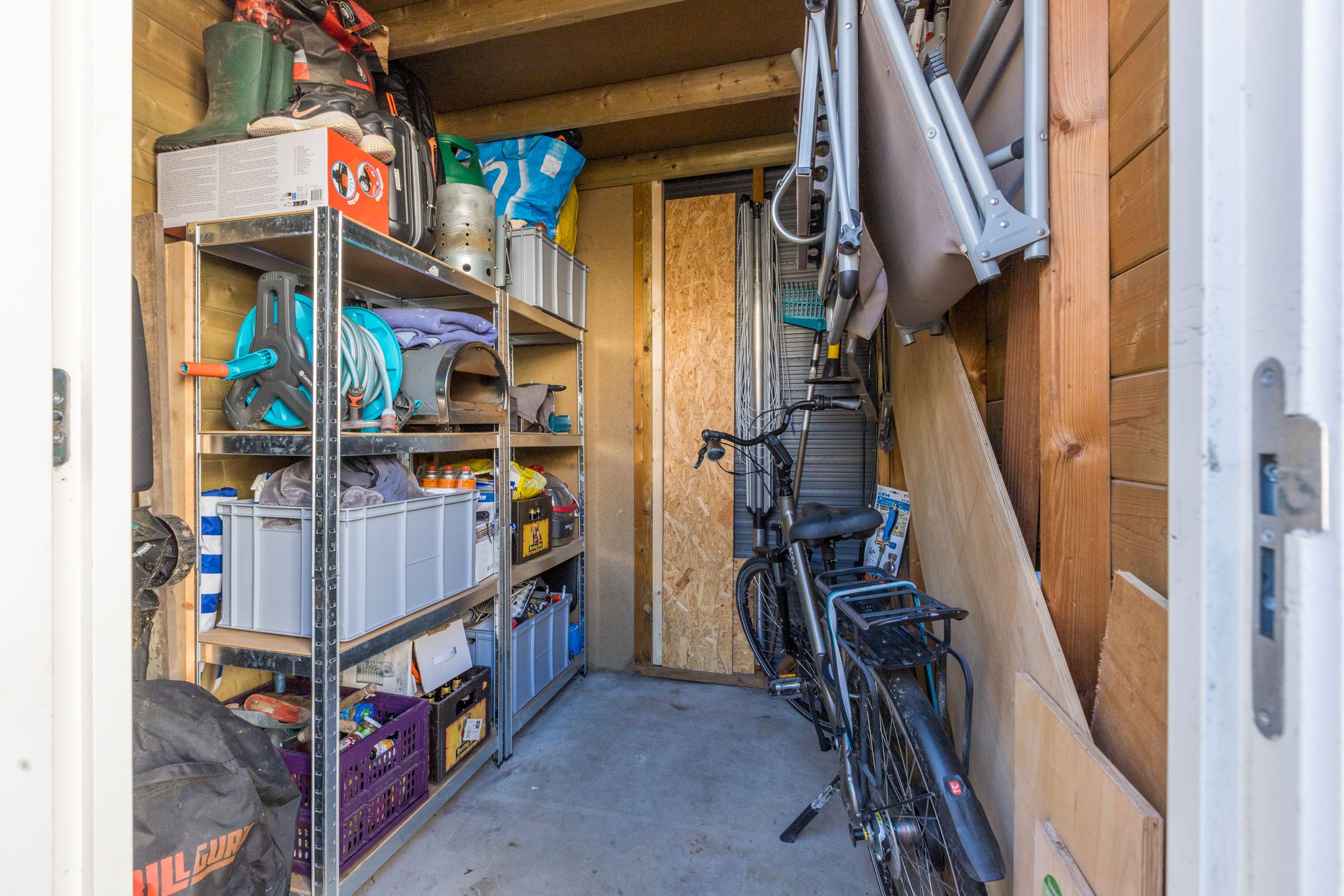 Foto 30 van Kamsalamander 7