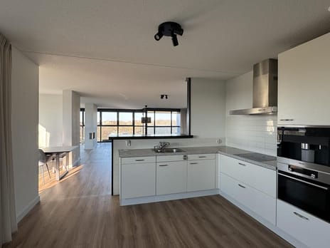 Grifthoek 156 tertiary image