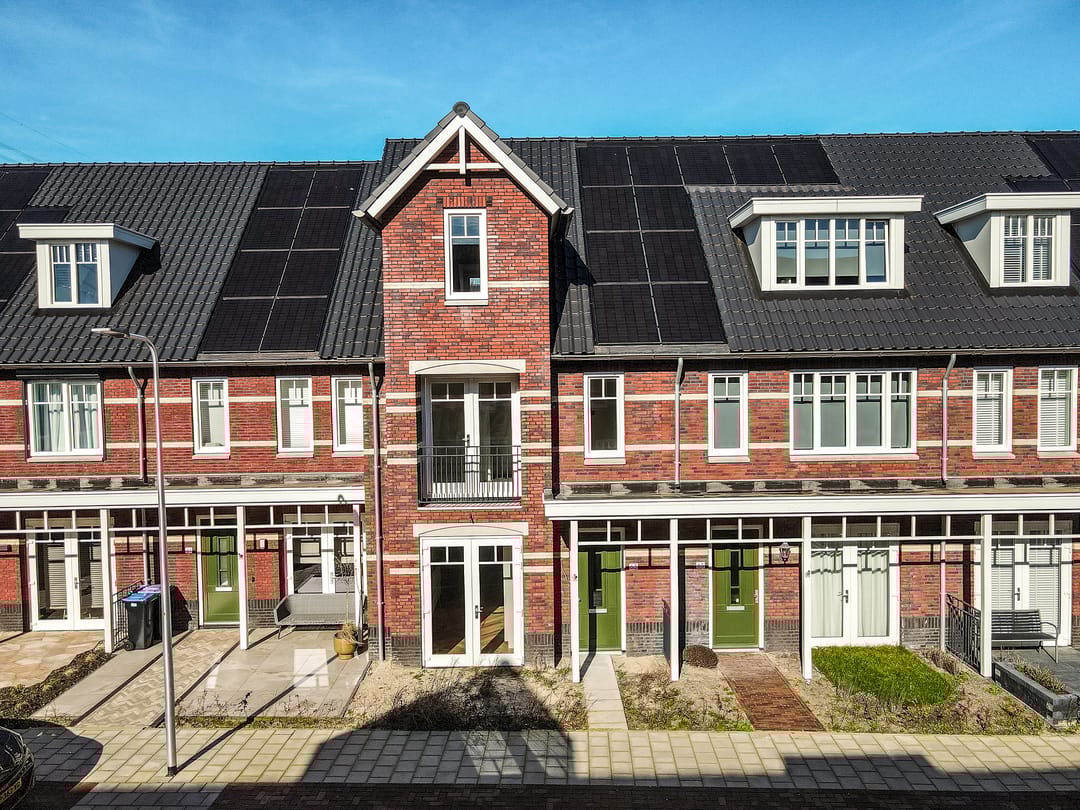 Photo 1 of Koolrabi 63