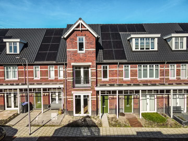 Koolrabi 63 main image