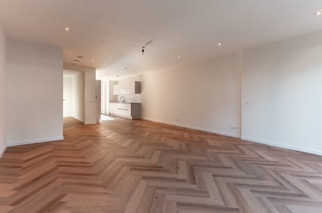 Koolrabi 63 tertiary image