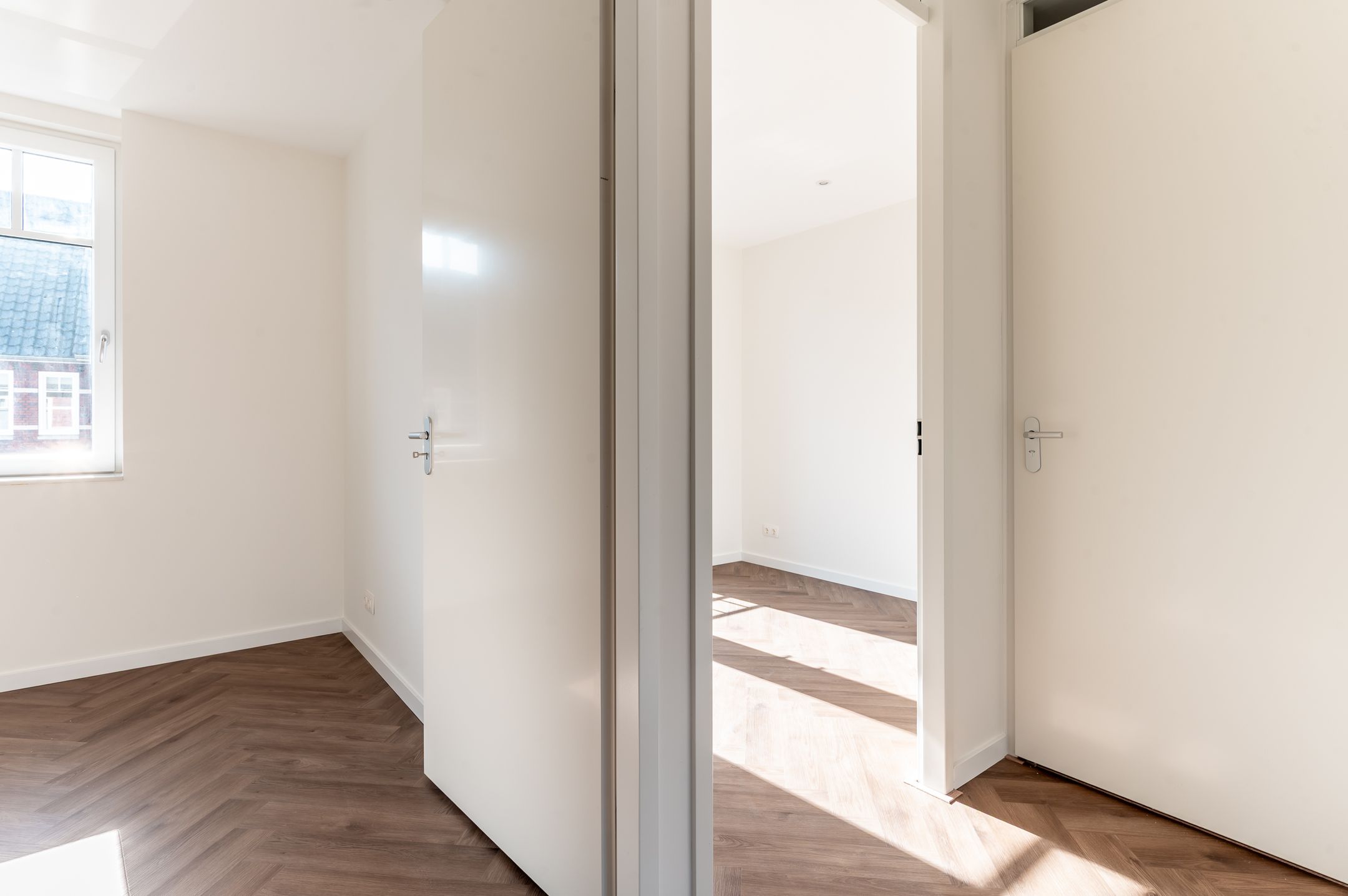 Photo 24 of Koolrabi 63