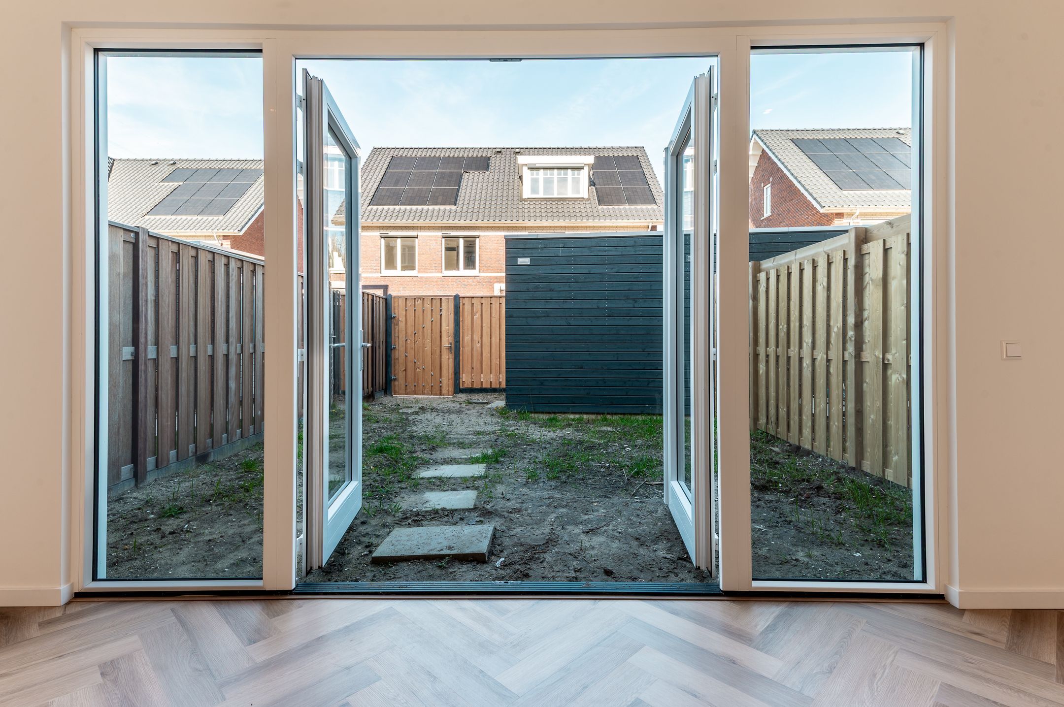 Photo 9 of Koolrabi 63