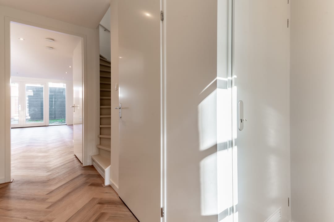 Photo 11 of Koolrabi 63