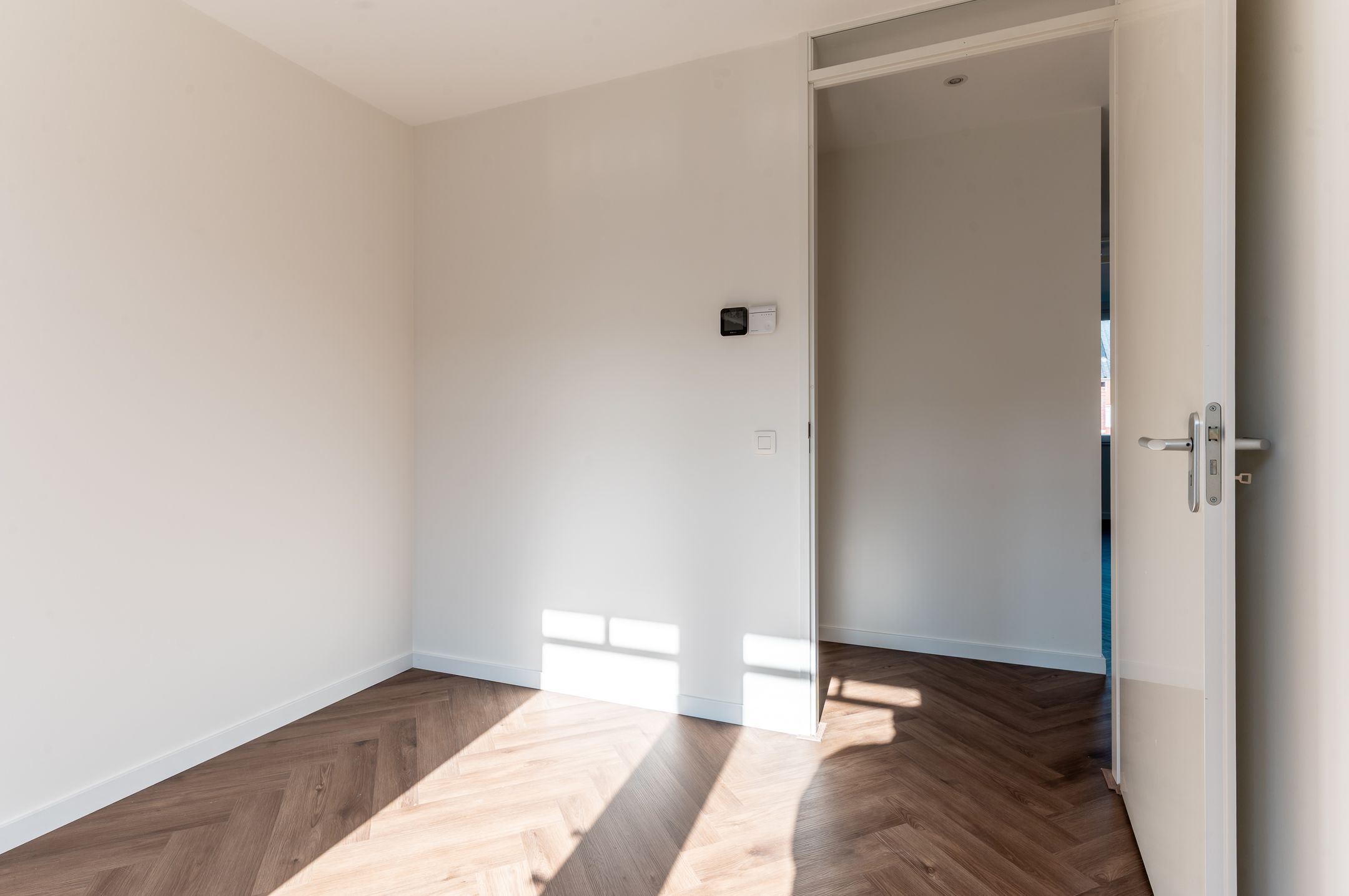 Photo 27 of Koolrabi 63