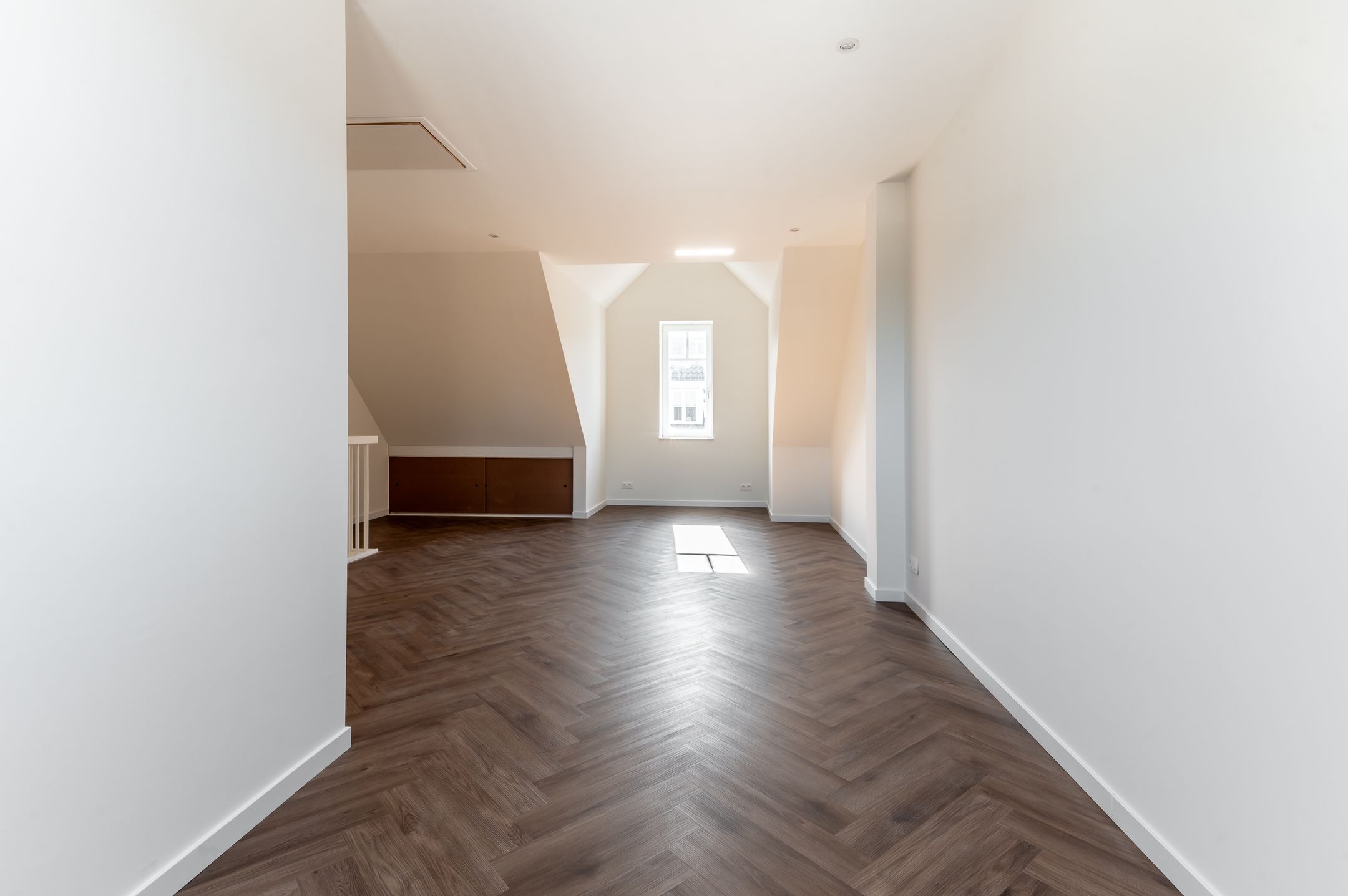 Photo 39 of Koolrabi 63