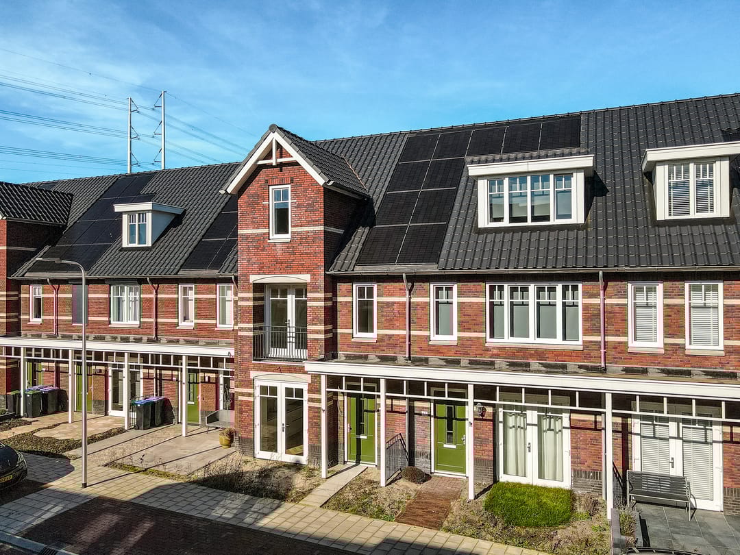 Photo 46 of Koolrabi 63