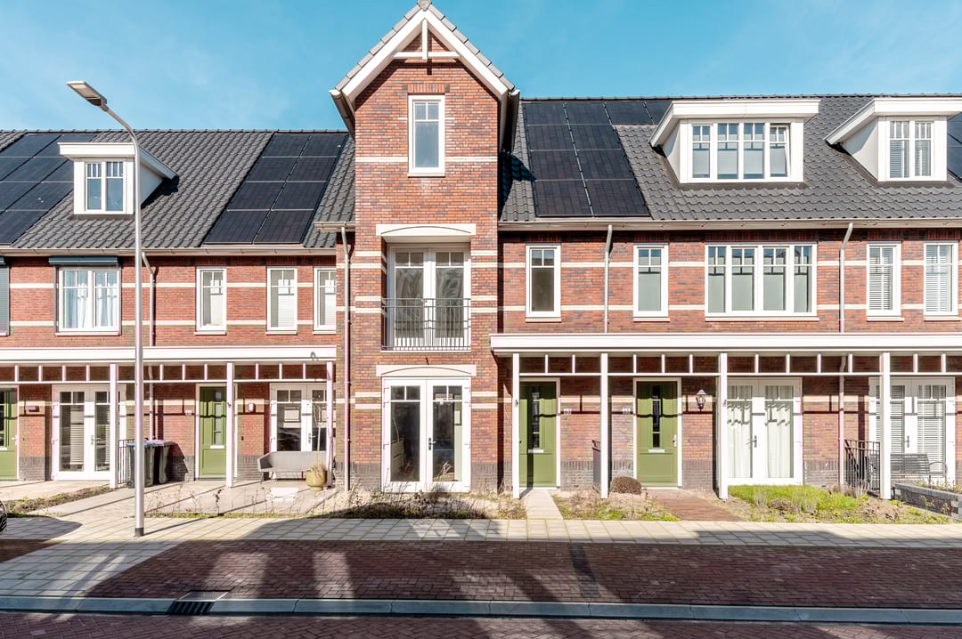 Photo 47 of Koolrabi 63