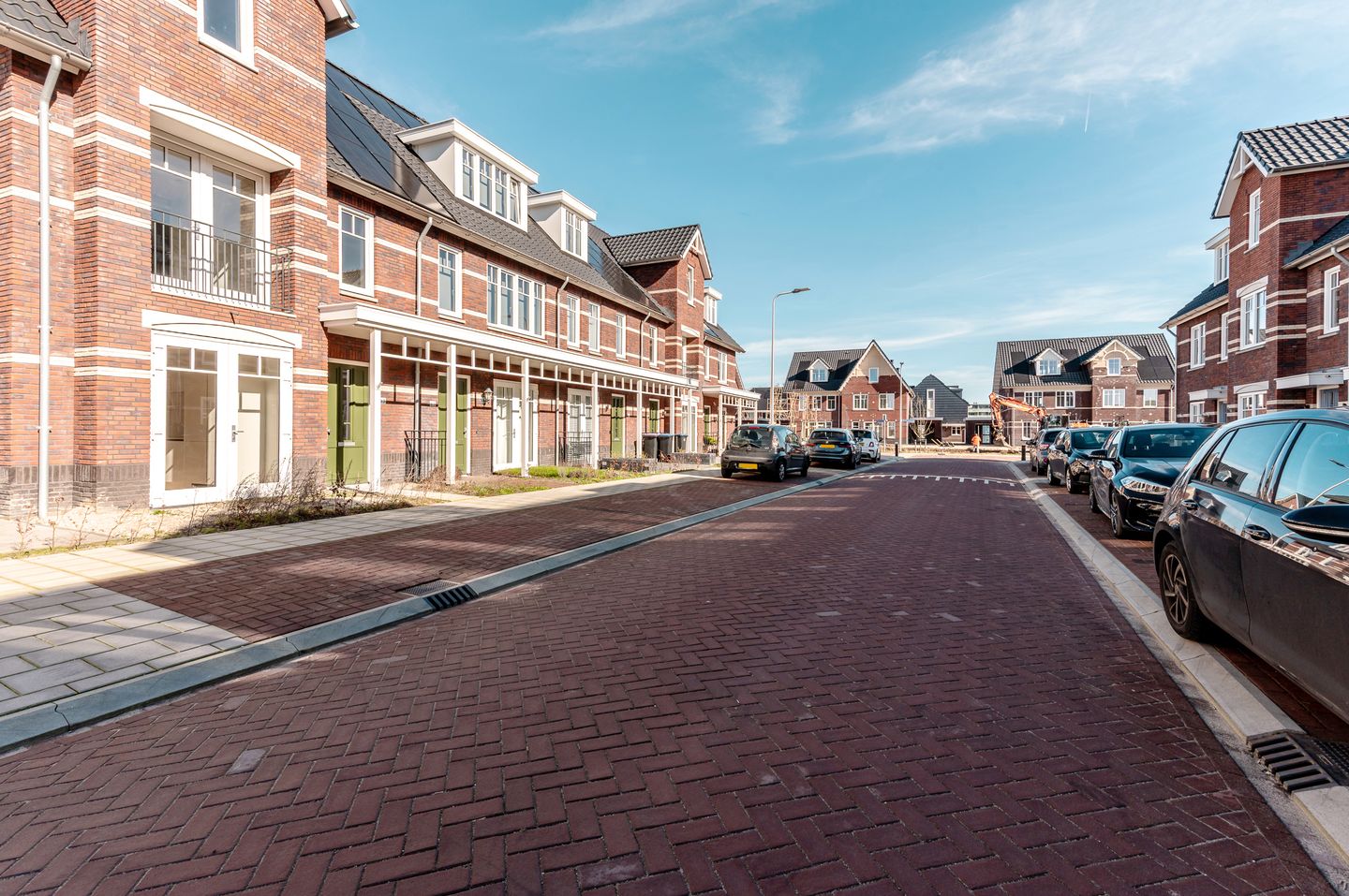 Photo 49 of Koolrabi 63