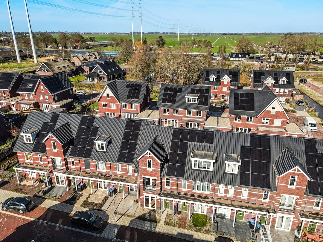 Photo 52 of Koolrabi 63