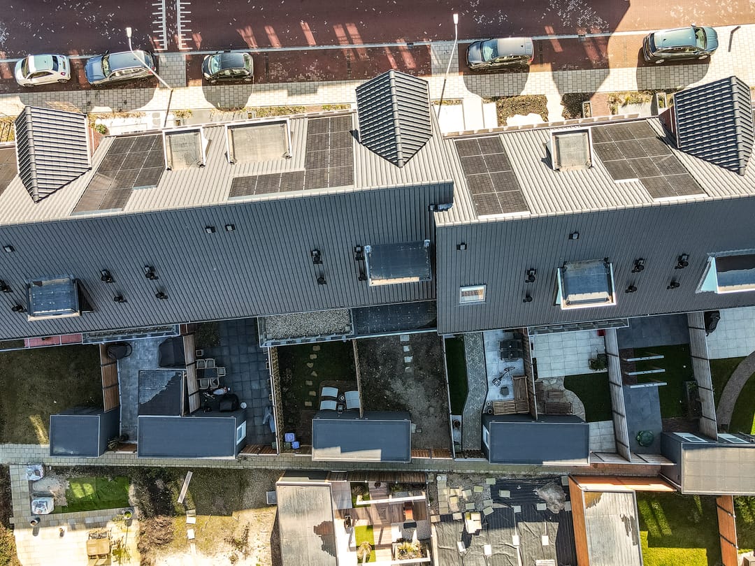 Photo 53 of Koolrabi 63