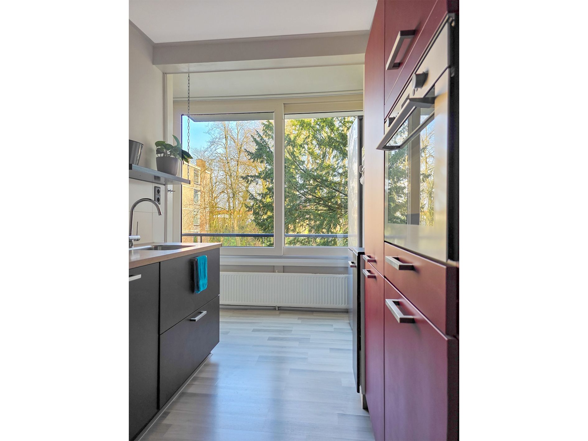 Foto 30 van Park de Kotten 61