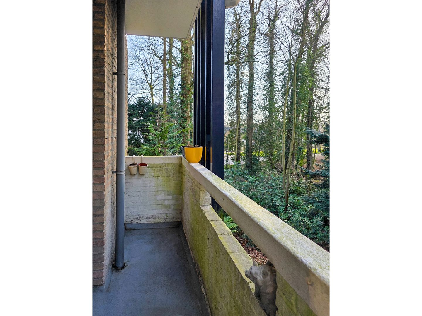 Foto 50 van Park de Kotten 61