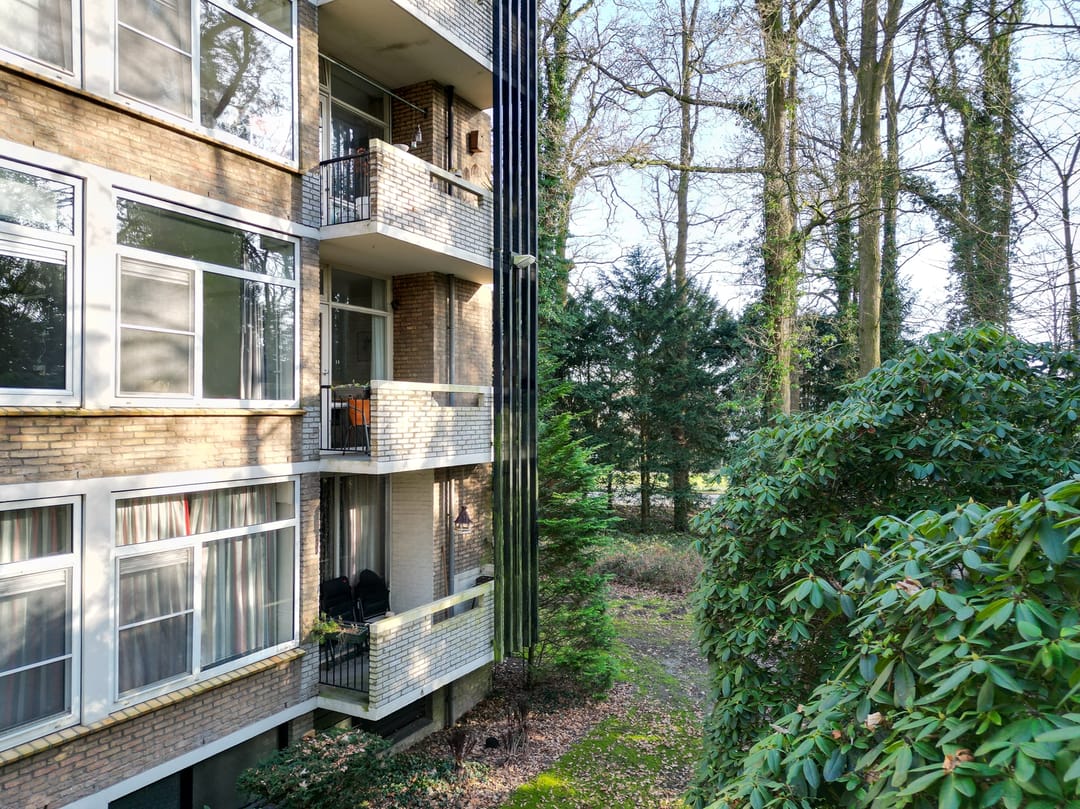 Foto 53 van Park de Kotten 61