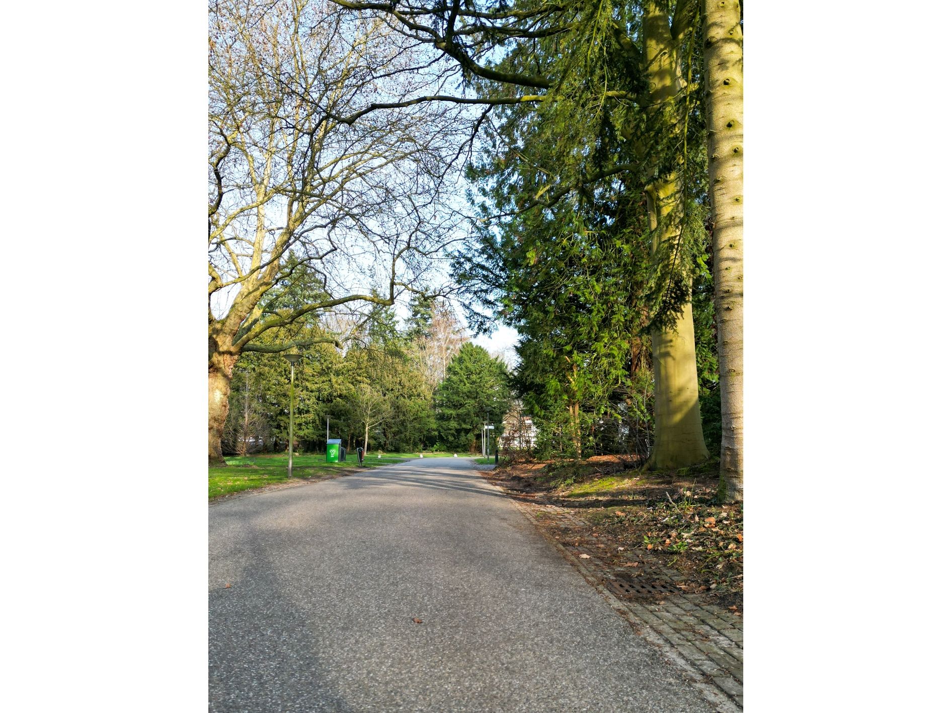 Foto 60 van Park de Kotten 61