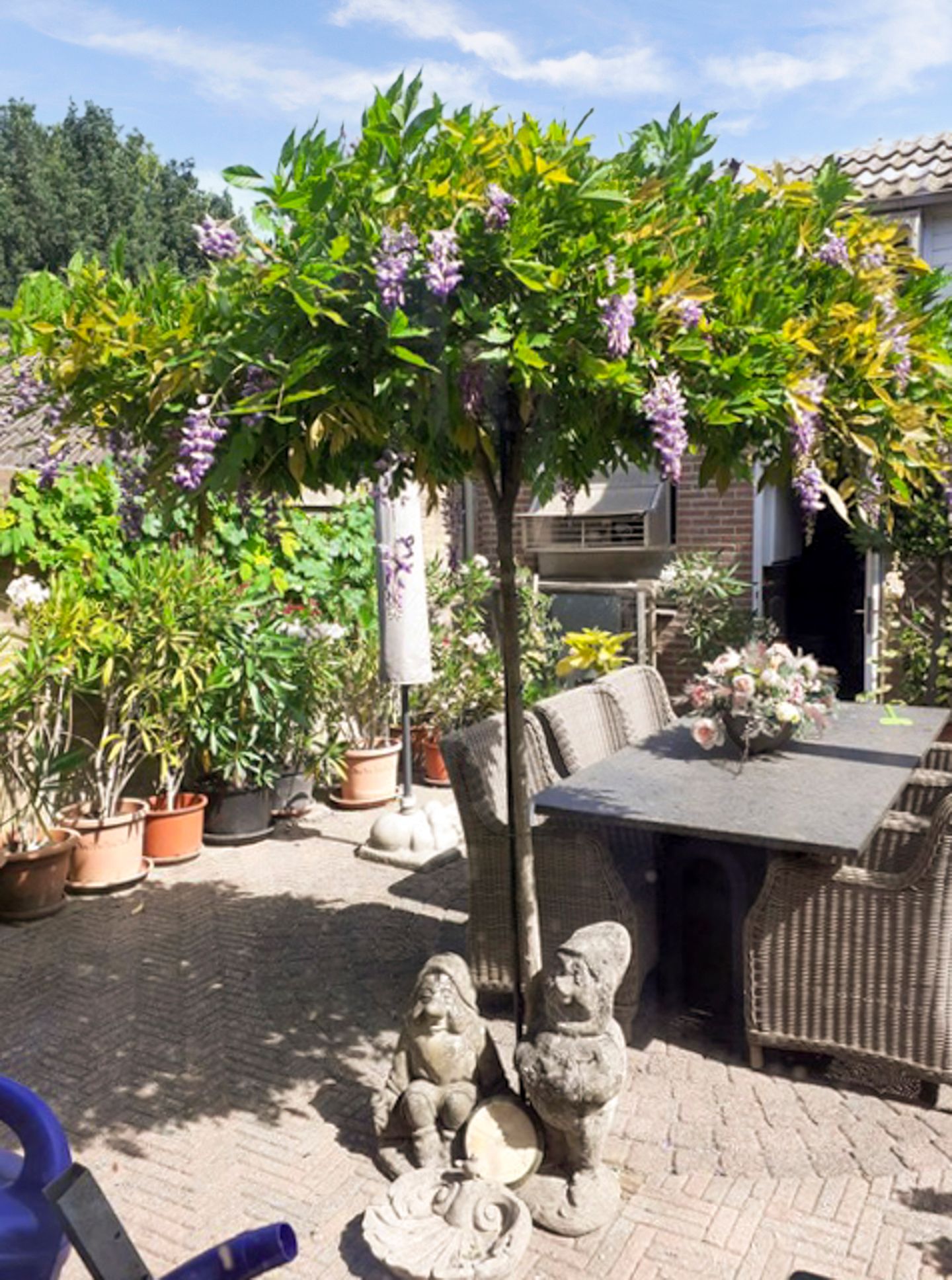 Photo 20 of van Galenstraat 17