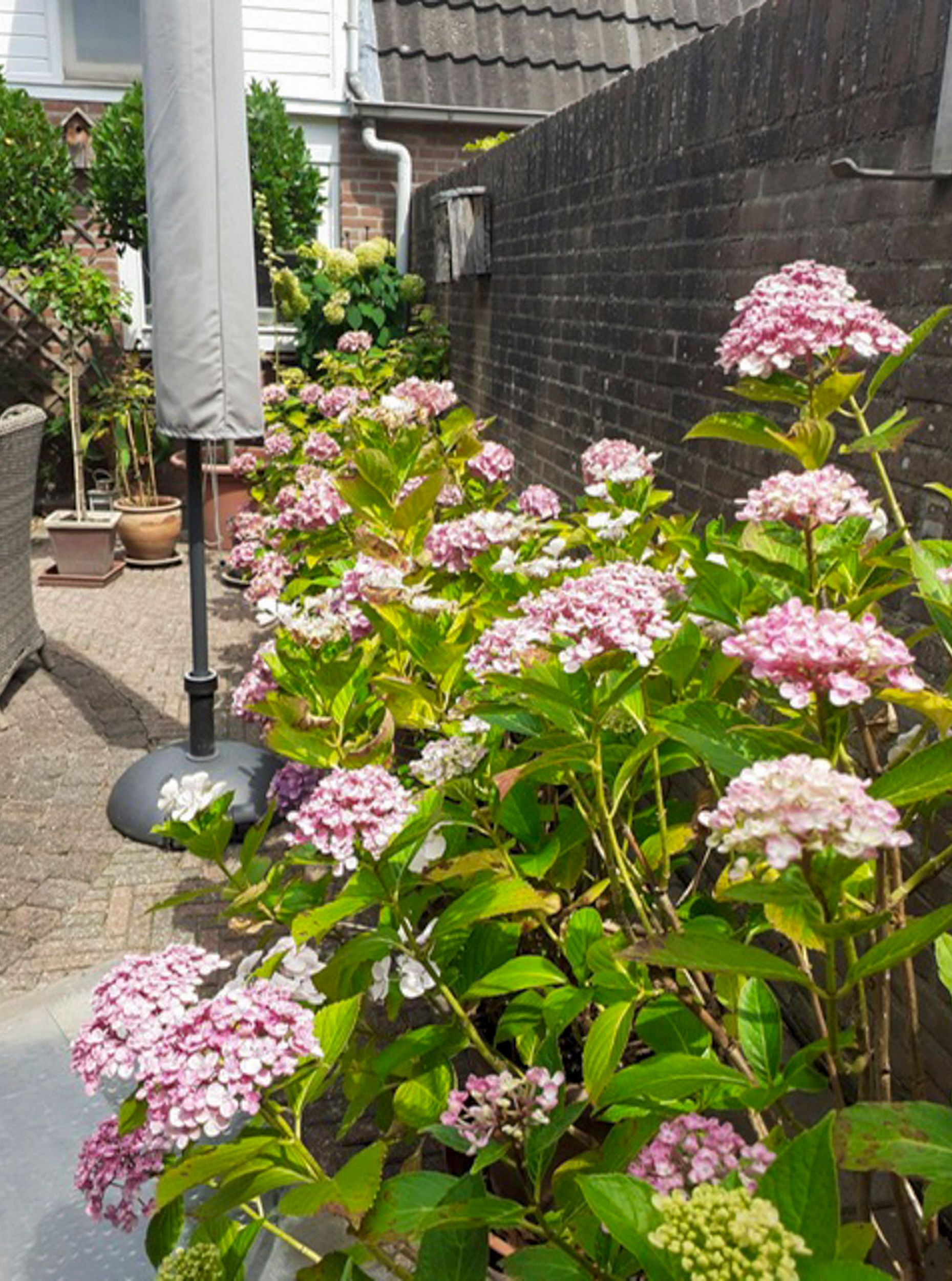 Photo 21 of van Galenstraat 17