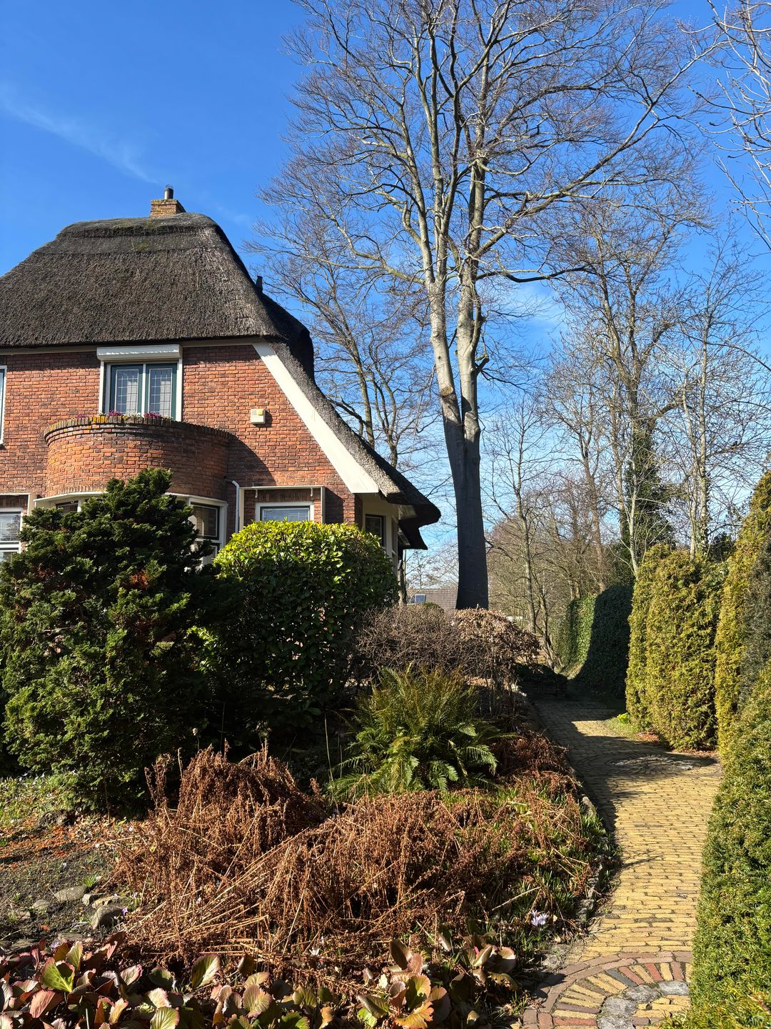 Photo 53 of Westerweg 269