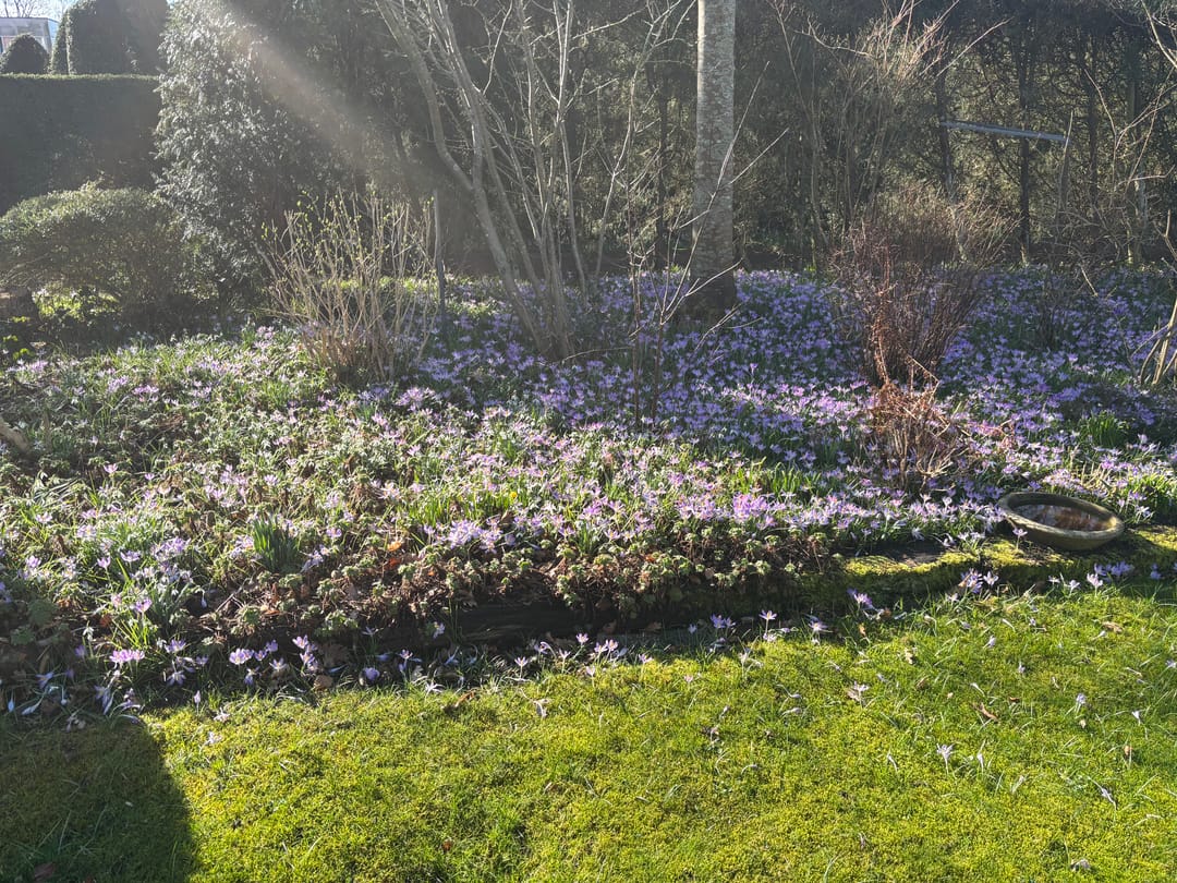 Photo 56 of Westerweg 269