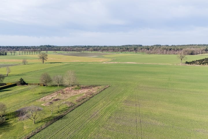 Foto 2 van Weebosch 16