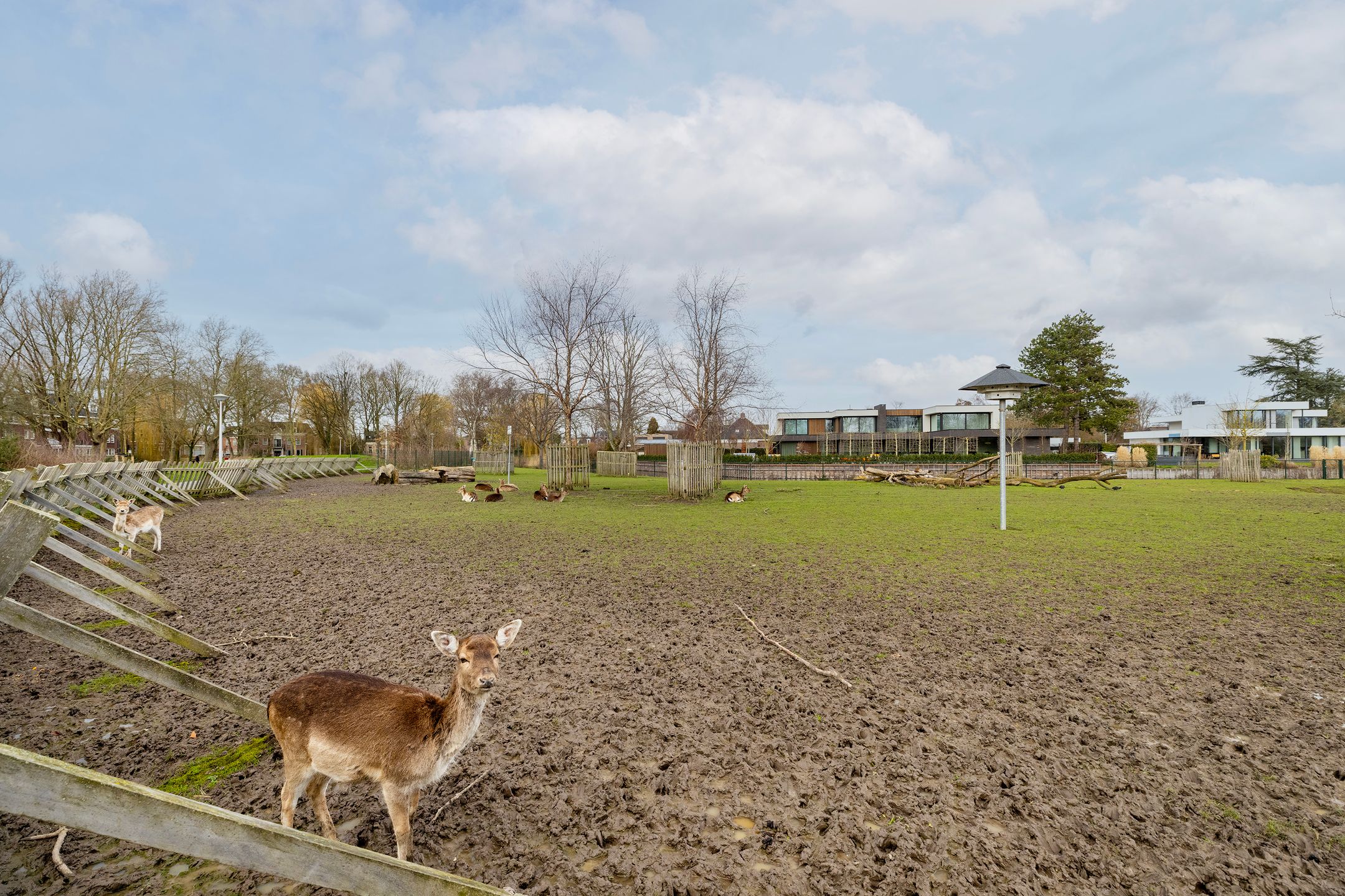 Photo 36 of Zwaluwenlaan 52