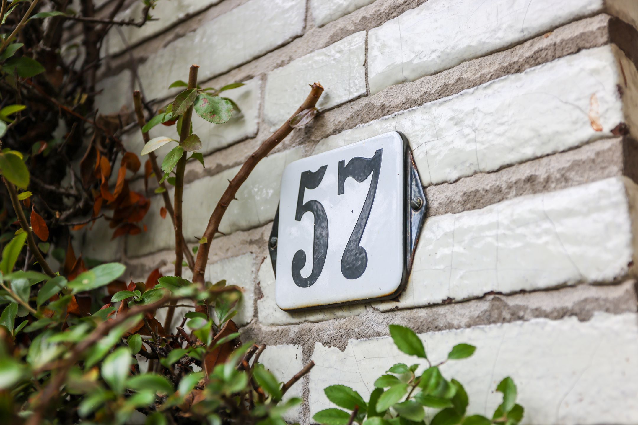 Foto 6 van Van Hoffenlaan 57