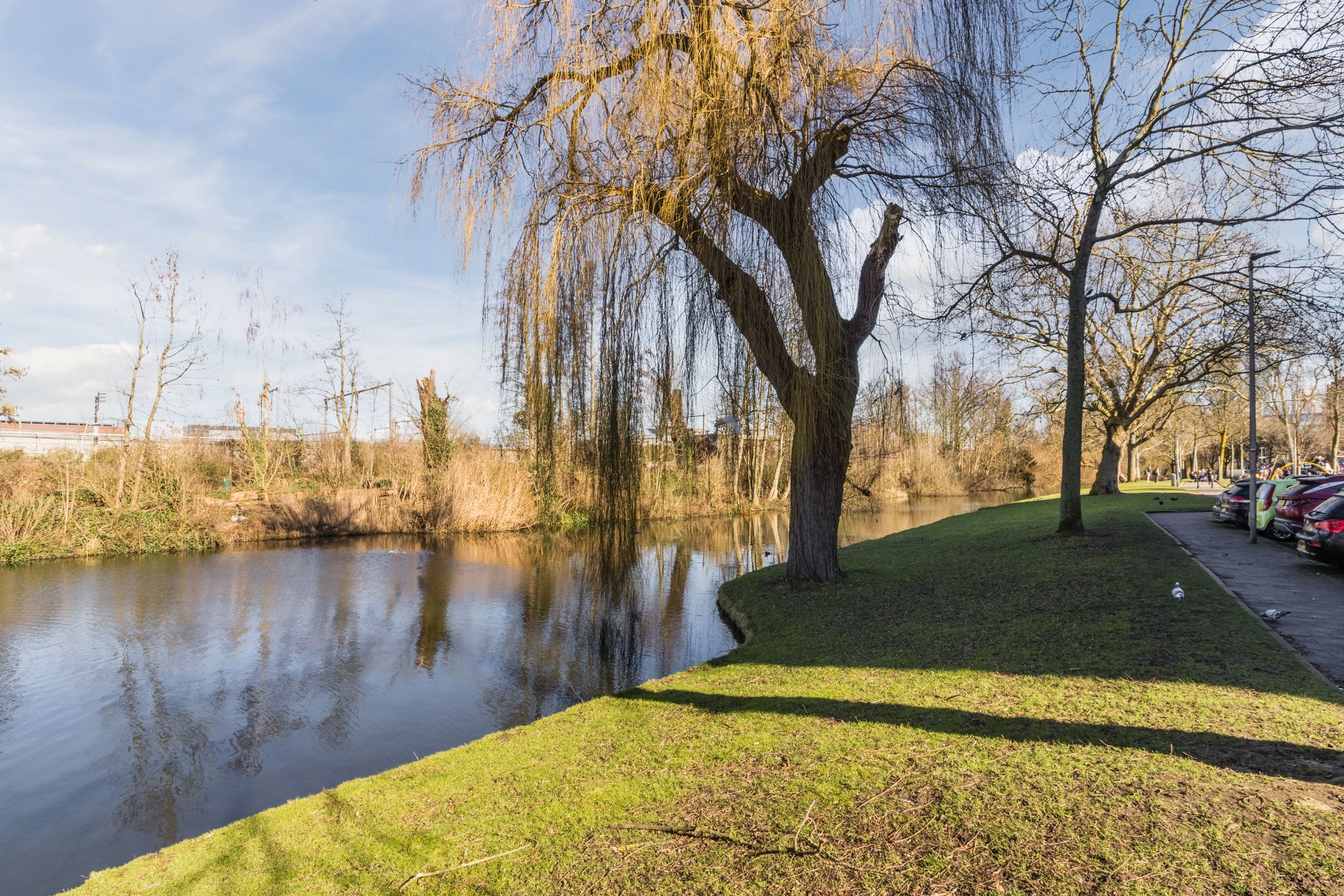 Foto 33 van Suze Groeneweglaan 183